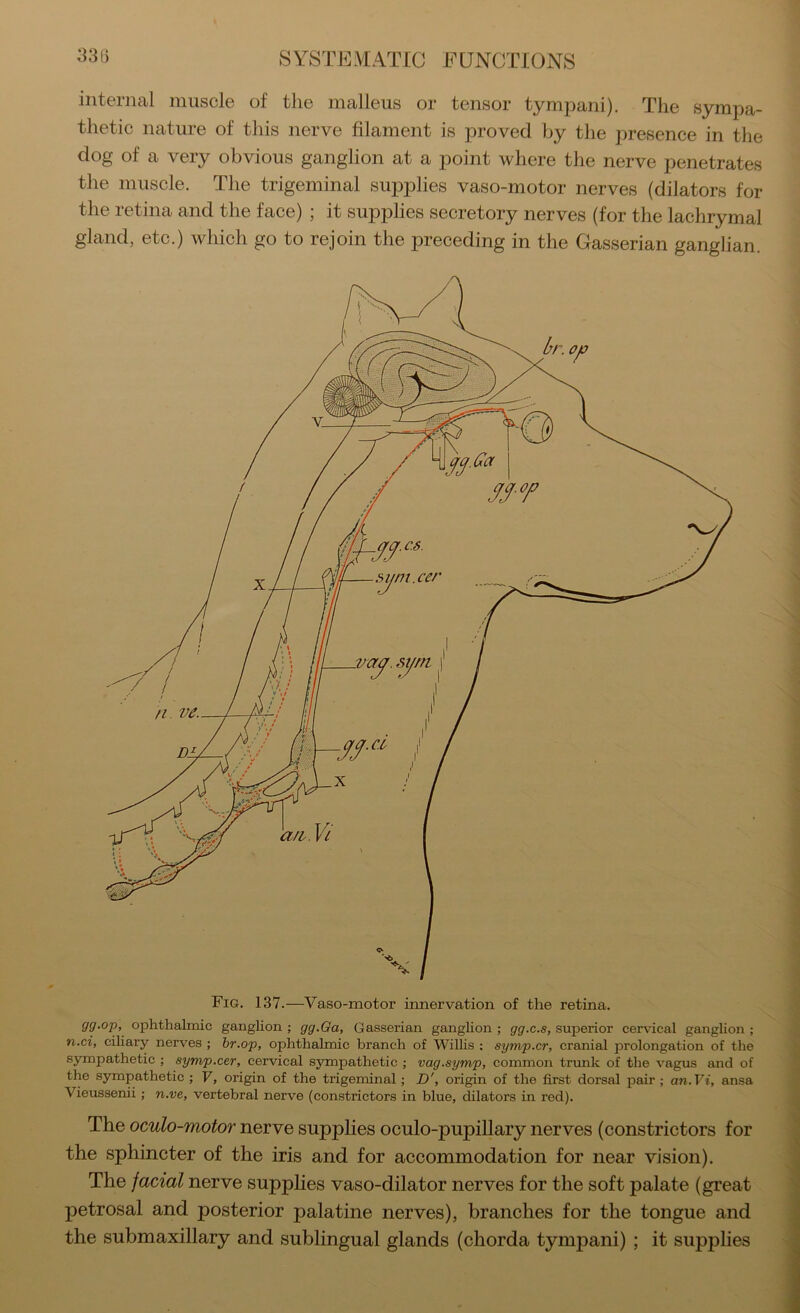 internal muscle of the malleus or tensor tympani). The sympa- thetic nature of this nerve filament is proved by the presence in the dog of a very obvious ganglion at a point where the nerve penetrates the muscle. The trigeminal supplies vaso-motor nerves (dilators for the retina and the face) ; it supplies secretory nerves (for the lachrymal gland, etc.) which go to rejoin the preceding in the Gasserian ganglian. vaJ.mti 1' Fig. 137.—Vaso-motor innervation of the retina. gg.op, ophthalmic ganglion ; gg.Oa, Gasserian ganghon ; gg.c.s, superior cervical ganglion ; n.ci, ciliary nerves ; br.op, ophthalmic branch of Willis ; symp.cr, cranial prolongation of the sympathetic ; symp.cer, cervical sympathetic ; vag.symp, common trunk of the vagus and of the sympathetic ; F, origin of the trigeminal; D', origin of the first dorsal pair ; an.Vi, ansa Vieussenii; n.ve, vertebral nerve (constrictors in blue, dilators in red). The oculo-motor nerve supplies oculo-pupillary nerves (constrictors for the sphincter of the iris and for accommodation for near vision). The facial nerve supplies vaso-dilator nerves for the soft palate (great petrosal and posterior palatine nerves), branches for the tongue and the submaxillary and sublingual glands (chorda tympani) ; it supplies