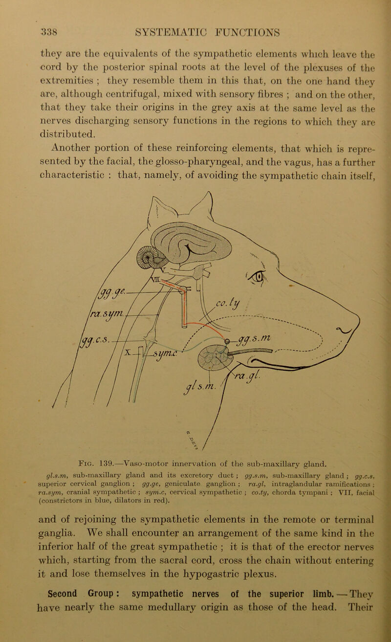 they are the equivalents of the sympathetic elements which leave the cord by the posterior spinal roots at the level of the plexuses of the extremities ; they resemble them in this that, on the one hand they are, although centrifugal, mixed with sensory fibres ; and on the other, that they take their origins in the grey axis at the same level as the nerves discharging sensory functions in the regions to which they are distributed. Another portion of these reinforcing elements, that which is repre- sented by the facial, the glosso-pharyngeal, and the vagus, has a further characteristic : that, namely, of avoiding the sympathetic chain itself. Fig. 139.—Vaso-motor innervation of the sub-maxillary gland. gl.s.m, sub-maxillary gland and its excretory duct ; gg.s.m, sub-maxillary gland ; gg.c.s, superior cervical ganglion ; gg.ge, geniculate ganglion ; ra.gl, intraglandular ramifications ; ra.sym, cranial sympathetic ; sym.c, cervical sympathetic ; co.ty, chorda tympani ; VII, facial (constrictors in blue, dilators in red). and of rejoining the sympathetic elements in the remote or terminal ganglia. We shall encounter an arrangement of the same kind in the inferior half of the great sympathetic ; it is that of the erector nerves which, starting from the sacral cord, cross the chain without entering it and lose themselves in the hypogastric plexus. Second Group: sympathetic nerves of the superior limb. — They have nearly the same medullary origin as those of the head. Their