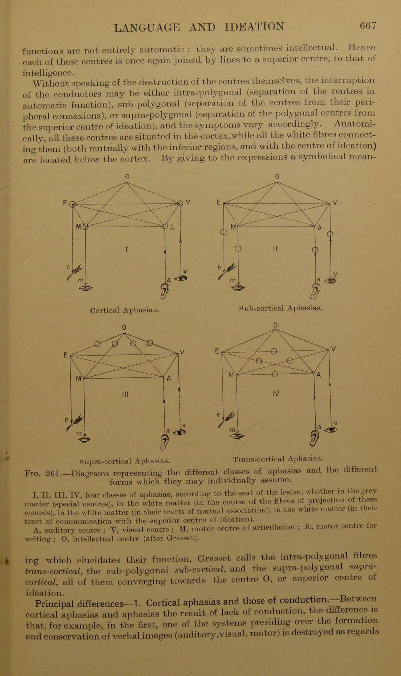 functions are not entirely automatic : they are sometimes intellectual. Hence each of these centres is once again joined by lines to a superior centre, to that of intelligence. Without speaking of the destruction of the centres themselves, the interruption of the conductors may be either intra-polygonal (separation of the centres in automatic function), sub-polygonal (separation of the centres from their peri- pheral connexions), or supra-polygonal (separation of the polygonal centres from the superior centre of ideation), and the symptoms vary accordingly. Anatomi- cally, all these centres are situated in the cortex,while all the white fibres connect- ing them (both mutually with the inferior regions, and with the centre of ideation) are located below the cortex. By giving to the expressions a symbolical mean- / 0 Cortical Aphasias. 0 0 0 Supra-cortical Aphasias. Trans-cortical Aphasias. Fig. 261.—Diagrams representing the different classes of aphasias and the different forms which they may indiv'idually assume. I, II, III, IV, four classes of aphasias, according to the seat of the lesion, whether in the grey matter (special centres), in the white matter (in the course of the fibres of projection o centres), in the white matter (in their tracts of mutual association), in the white ma er (in leir tract of communication with the superior centre of ideation). . . ^ , + f A, auditory centre ; V, visual centre ; M, motor centre of articulation ; E, motor centre tor writing ; 0, intellectual centre (after Grasset). ing which elucidates their function, Grasset calls the intra-polygona res trans-cortical, the sub-polygonal suh-cortical, and the supra-polygona supra cortical, all of them converging towards the centre O, oi superior centre o ideation. . Principal differences—1. Cortical aphasias and those of conduction.--Between cortical aphasias and aphasias the result of lack of conduction, t le i erence is that, for example, in the first, one of the systems presiding over the formation and conservation of verbal images (auditory,visual, motor) is destroyed as regards