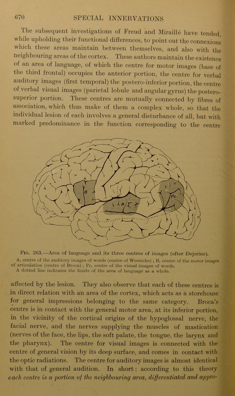 The subsequent investigations of Freud and Miraille have tended wliile iq3holding their functional differences, to point out the connexions which these areas maintain between themselves, and also with the neighbouring areas of the cortex. These authors maintain the existence of an area of language, of which the centre for motor images (base of the third frontal) occupies the anterior portion, the centre for verbal auditory images (first temporal) the postero-inferior portion, the centre of verbal visual images (parietal lobule and angular gyrus) the postero- superior portion. These centres are mutually connected by fibres of association, which thus make of them a complex whole, so that the individual lesion of each involves a general disturbance of all, but with marked predominance in the function corresponding to the centre Fig. 263.—Area of language and its three centres of images (after -Dejerine). A, centre of the auditory images of words (centre of Wernicke) ; B, centre of the motor images of articulation (centre of Broca) ; Pc, centre of the visual images of words. A dotted hne indicates the hmits of the area of language as a whole. affected by the lesion. They also observe that each of these centres is in direct relation with an area of the cortex, which acts as a storehouse for general impressions belonging to the same category. Broca’s centre is in contact with the general motor area, at its inferior portion, in the vicinity of the cortical origins of the hypoglossal nerve, the facial nerve, and the nerves supplying the muscles of mastication (nerves of the face, the lips, the soft palate, the tongue, the larynx and the pharynx). The centre for visual images is connected vdth the centre of general vision by its deep surface, and comes in contact with the optic radiations. The centre for auditory images is almost identical with that of general audition. In short: according to this theory each centre is a portion of the neighbouring area, di§erentiated and ajypro-