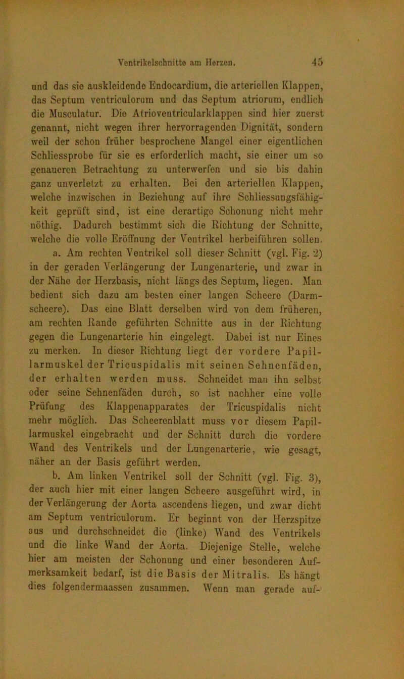 und das sie auskleidendo Endocardiura, dio arteriellen Klappen, das Septum ventriculorum und das Septum atriorum, endlich die Musculatur. Dio Atrioventricularklappcn sind hier zuerst genannt, nicht wegen ihrer hervorragenden Dignität, sondern weil der schon früher besprochene Mangel einer eigentlichen Schliessprobe für sie es erforderlich macht, sie einer um so genaueren Betrachtung zu unterwerfen und sie bis dahin ganz unverletzt zu erhalten. Bei den arteriellen Klappen, welche inzwischen in Beziehung auf ihre Schliessungsfähig- keit geprüft sind, ist eine derartige Schonung nicht mehr nöthig. Dadurch bestimmt sich die Richtung der Schnitto, welche die volle Eröffnung der Ventrikel herbeiführen sollen. a. Am rechten Ventrikel soll dieser Schnitt (vgl. Fig. 2) in der geraden Verlängerung der Lungenarteric, und zwar in der Nähe der Herzbasis, nicht längs des Septum, liegen. Man bedient sich dazu am besten einer langen Scheere (Darm- scheere). Das eine Blatt derselben wird von dem früheren, am rechten Rande geführten Schnitte aus in der Richtung gegen die Lungenarterie hin eingelegt. Daboi ist nur Eines zu merken. In dieser Richtung liegt der vordere Papil- larmuskel der Tricuspidalis mit seinen Sehnenfäden, der erhalten werden muss. Schneidet man ihn selbst oder seine Sehnenfäden durch, so ist nachher eine volle Prüfung des Klappenapparates der Tricuspidalis nicht mehr möglich. Das Scheerenblatt muss vor diesem Papil- larmuskel eingebracht und der Schnitt durch die vordere Wand des Ventrikels und der Lungenarterie, wie gesagt, näher an der Basis geführt werden. b. Am linken Ventrikel soll der Schnitt (vgl. Fig. 3), der auch hier mit einer langen Scheero ausgeführt wird, in der V erlängerung der Aorta ascendens liegen, und zwar dicht am Septum ventriculorum. Er beginnt von der Herzspitze aus und durchschneidet die (linke) Wand des Ventrikels und die linke Wand der Aorta. Diejenige Stelle, welche hier am meisten der Schonung und einer besonderen Auf- merksamkeit bedarf, ist dio Basis der Mitralis. Es hängt dies folgendermaassen zusammen. Wenn man gerade auf-