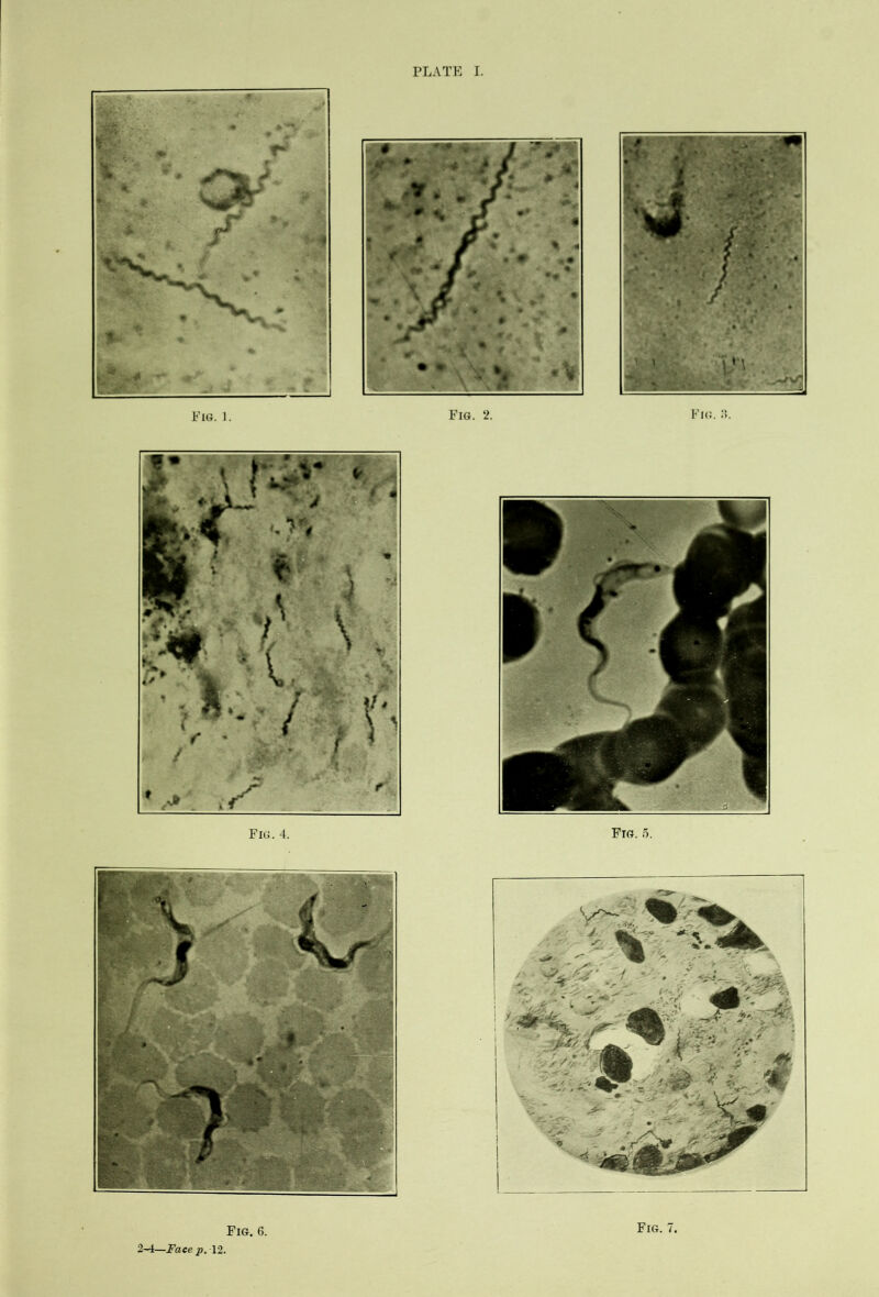 Fig. 6. Fig. 7.