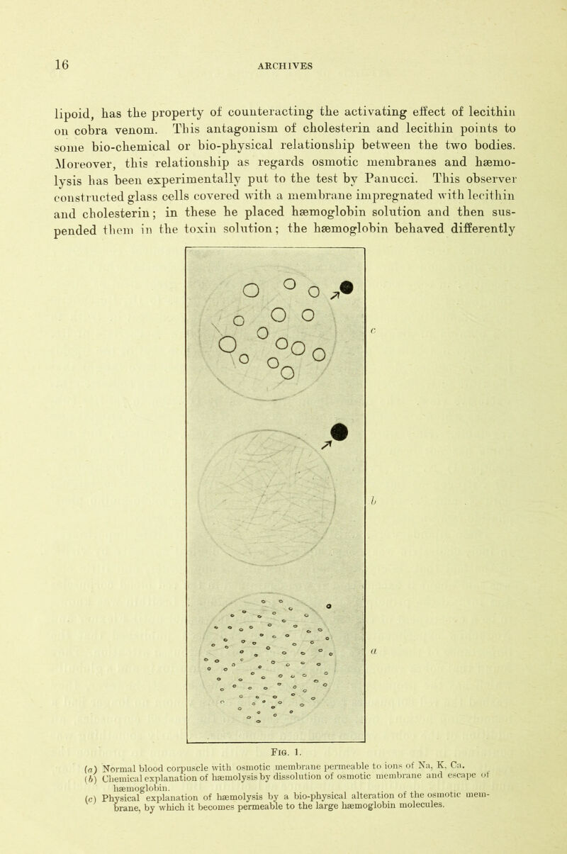 lipoid, has the property of counteracting the activating effect of lecithin on cobra venom. This antagonism of cholesterin and lecithin points to some bio-chemical or bio-physical relationship between the two bodies. Moreover, this relationship as regards osmotic membranes and haemo- lysis has been experimentally put to the test by Panucci. This observer constructed glass cells covered with a membrane impregnated with lecithin and cholesterin; in these he placed haemoglobin solution and then sus- pended them in the toxin solution; the haemoglobin behaved differently Fig. i. (а) Normal blood corpuscle with osmotic membrane permeable to ions of Na, K, Ca. (б) Chemical explanation of haemolysis by dissolution of osmotic membrane and escape of haemoglobin. , . , . . . ,. (c) Physical explanation of haemolysis by a bio-physical alteration of the osmotic mem- brane, by which it becomes permeable to the large haemoglobin molecules.