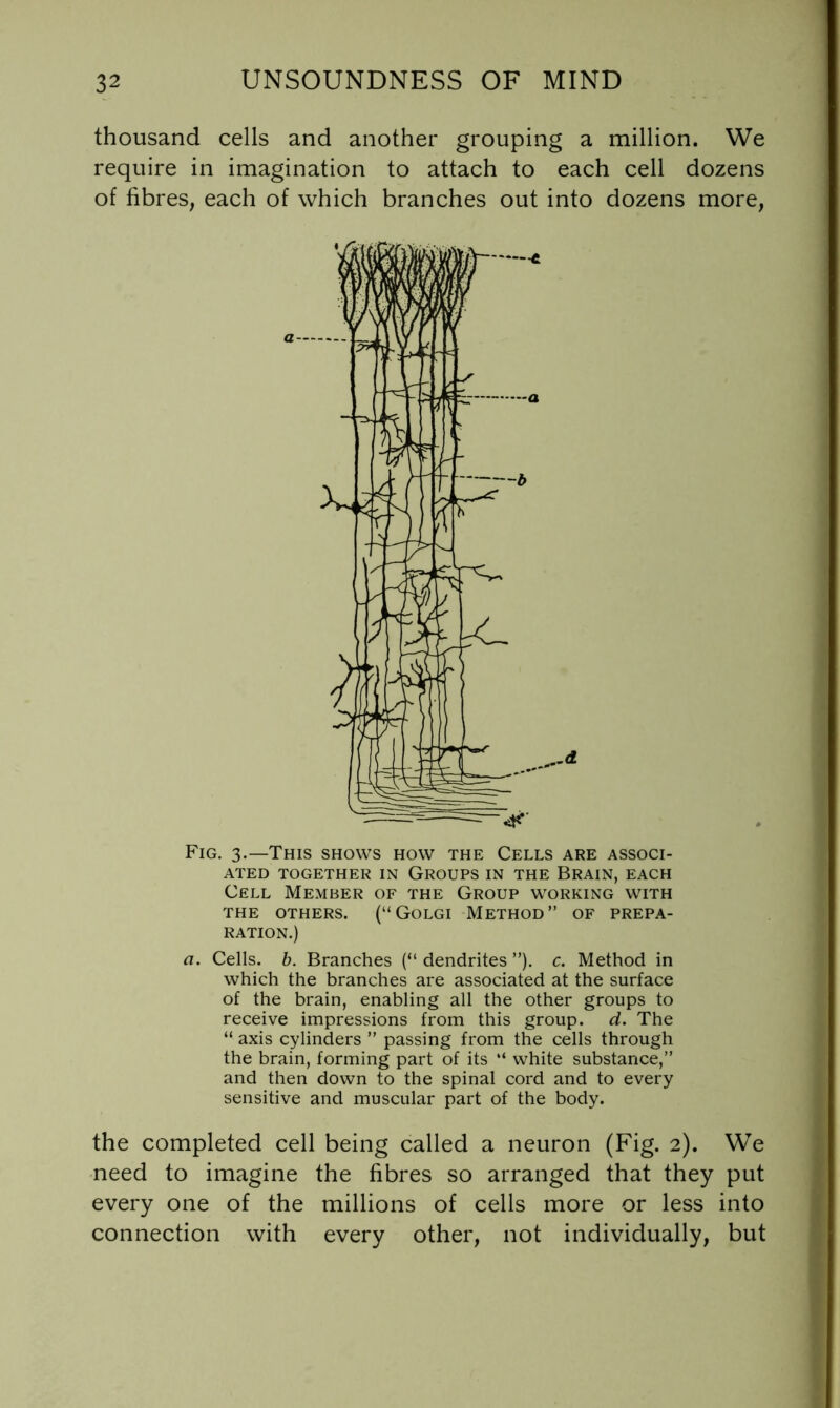 thousand cells and another grouping a million. We require in imagination to attach to each cell dozens of fibres, each of which branches out into dozens more, Fig. 3.—This shows how the Cells are associ- ated TOGETHER IN GROUPS IN THE BRAIN, EACH Cell Member of the Group working with THE OTHERS. (“ GoLGI METHOD ” OF PREPA- RATION.) a. Cells, b. Branches (“ dendrites ”). c. Method in which the branches are associated at the surface of the brain, enabling all the other groups to receive impressions from this group, d. The “ axis cylinders ” passing from the cells through the brain, forming part of its “ white substance,” and then down to the spinal cord and to every sensitive and muscular part of the body. the completed cell being called a neuron (Fig. 2). We need to imagine the fibres so arranged that they put every one of the millions of cells more or less into connection with every other, not individually, but