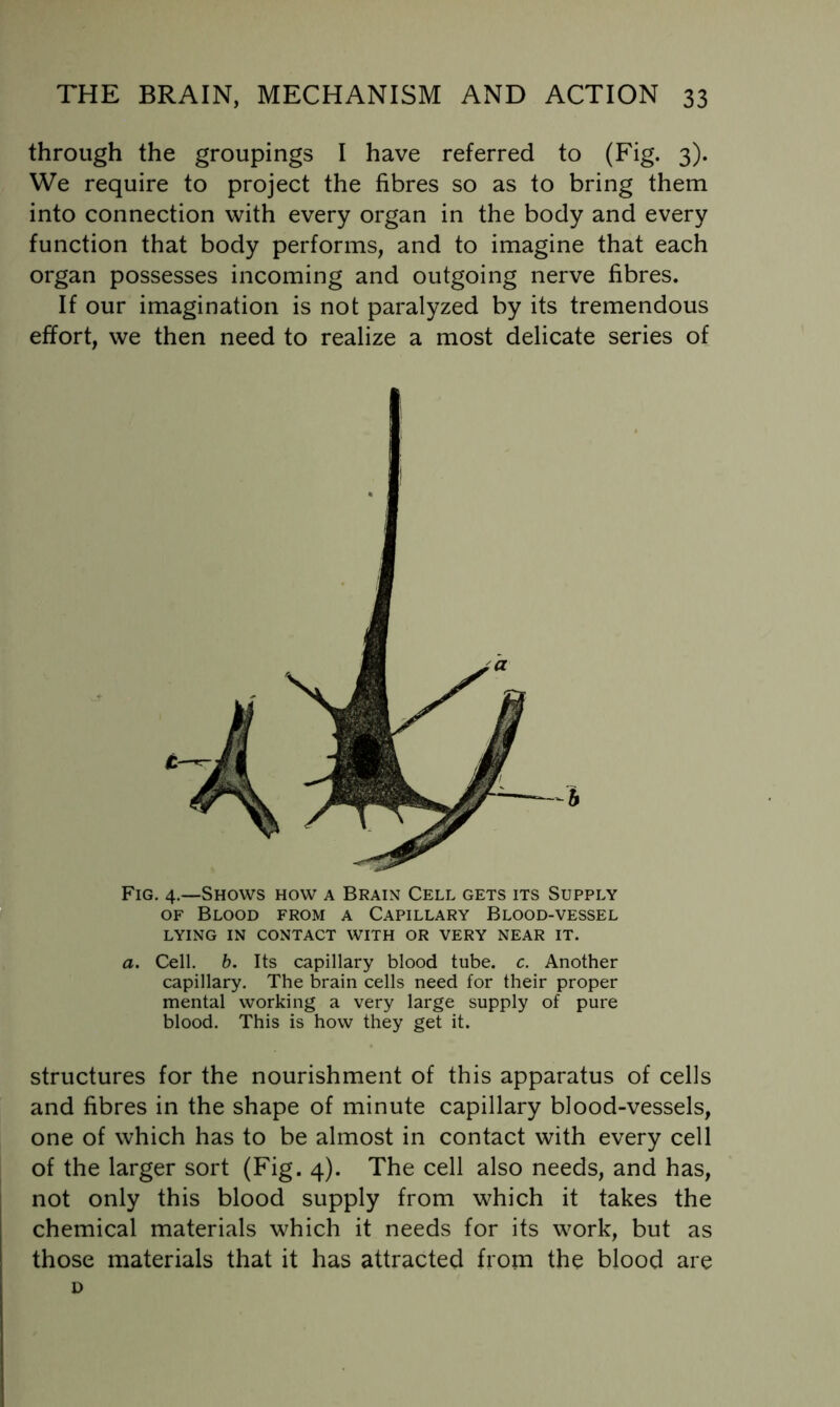 through the groupings I have referred to (Fig. 3). We require to project the fibres so as to bring them into connection with every organ in the body and every function that body performs, and to imagine that each organ possesses incoming and outgoing nerve fibres. If our imagination is not paralyzed by its tremendous effort, we then need to realize a most delicate series of Fig. 4.—Shows how a Brain Cell gets its Supply OF Blood from a Capillary Blood-vessel LYING IN CONTACT WITH OR VERY NEAR IT. a. Cell. b. Its capillary blood tube. c. Another capillary. The brain cells need for their proper mental working a very large supply of pure blood. This is how they get it. structures for the nourishment of this apparatus of cells and fibres in the shape of minute capillary blood-vessels, one of which has to be almost in contact with every cell of the larger sort (Fig. 4). The cell also needs, and has, not only this blood supply from which it takes the chemical materials which it needs for its work, but as those materials that it has attracted from the blood are D