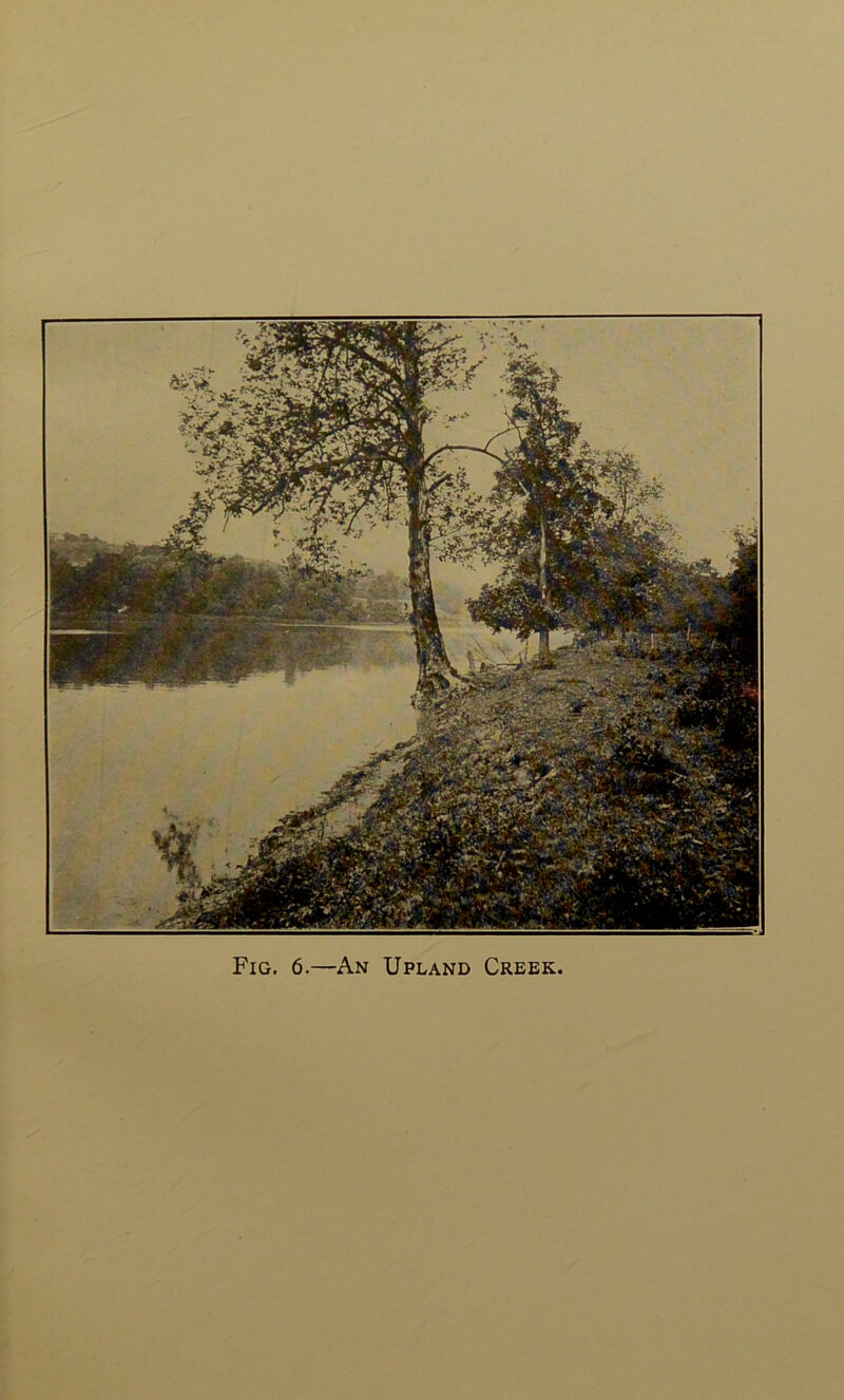 Fig. 6.—An Upland Creek,