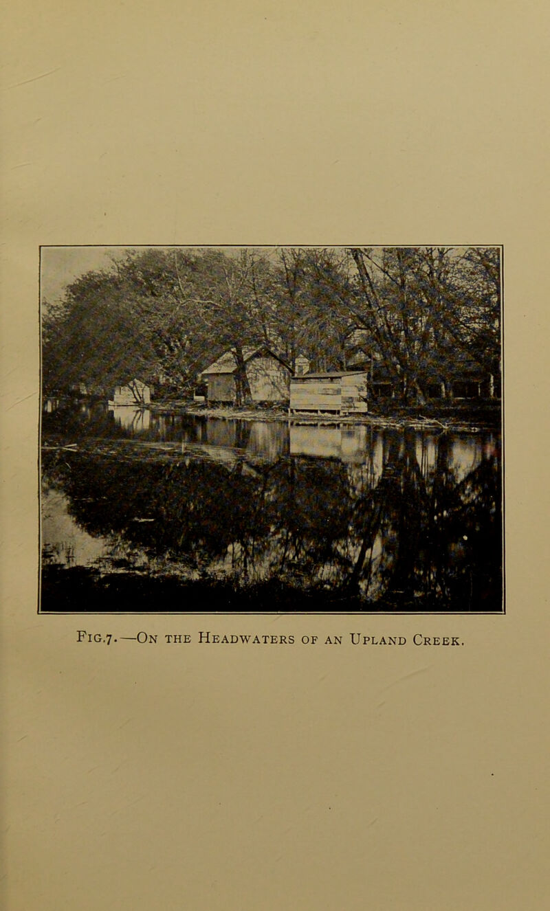 Fig.7-—On the Headwaters of an Upland Creek