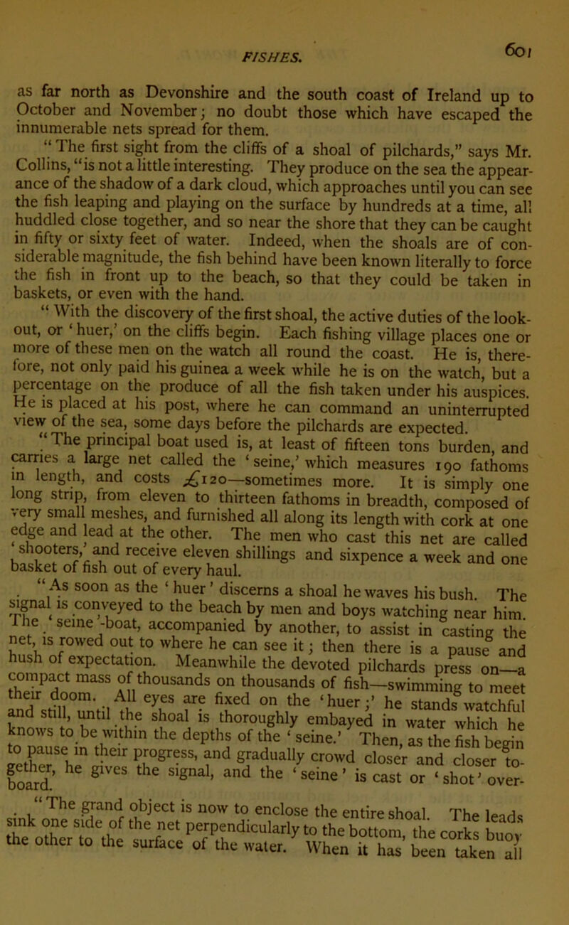 as far north as Devonshire and the south coast of Ireland up to October and November; no doubt those which hâve escaped the innumerable nets spread for them. ‘‘The first sight from the cliffs of a shoal of pilchards,” says Mr. Collins, “is not a little interesting. They produce on the sea the appear- ance of the shadow of a dark cloud, which approaches until you can see the fish leaping and playing on the surface by hundreds at a time, ail huddled close together, and so near the shore that they can be caught in fifty or sixty feet of water. Indeed, when the shoals are of con- sidérable magnitude, the fish belnnd hâve been known literally to force the fish in front up to the beach, so that they could be taken in baskets, or even with the hand. “ Wlth the discovery of the first shoal, the active duties of the look- out, or huer, on the cliffs begin. Each fishing village places one or more of these men on the watch ail round the coast. He is, there- fore, not only paid his guinea a week while he is on the watch, but a pcrcentage on the produce of ail the fish taken under his auspices. He is placed at his post, where he can command an uninterrupted . T^e principal boat used is, at least of fifteen tons burden, and carnes a large net called the ‘ seine,' which measures 190 fathoms in length, and costs ^120—sometimes more. It is simply one ong strip, from eleven to thirteen fathoms in breadtlv rnmnncpH <-,f » mu uiiuut view of the sea, some days before the pilchards are expected. ^ ' l'U û r\fin 1 L > . 1. 1 • 1 « . . * uc gives me signal, and the ‘ board. y eiuwu cioser and doser to- ‘ seine ’ is cast or ‘ shotJ over-