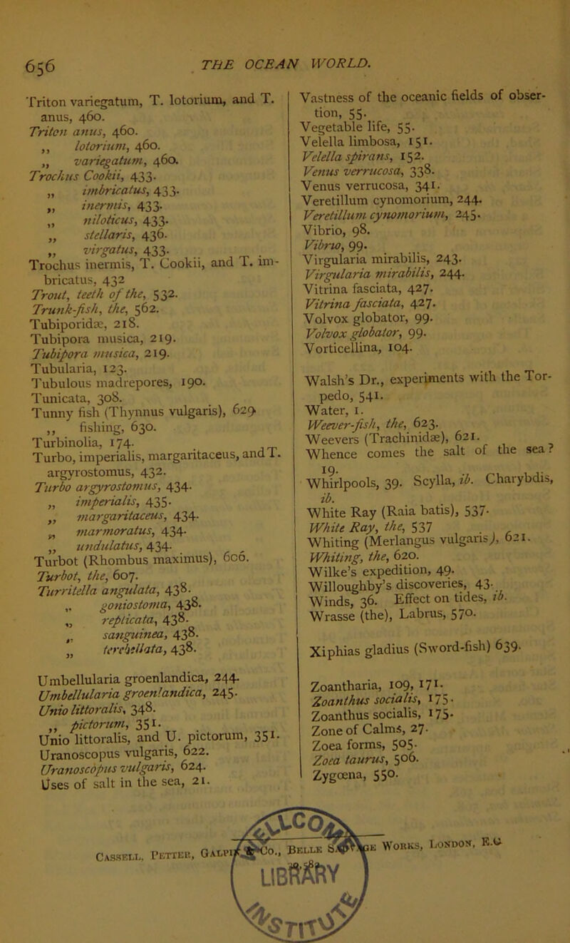 Triton variegatum, T. lotorium, and T. anus, 460. Triton anus, 460. ,, lotorium, 460. „ variegatum, 460. Trockus Cookii, 433. „ imbricatus, 433. „ inennis, 433. „ n il0 tic us, 433. „ stellaris, 436. „ virgatus, 433. Trochus inermis, T. Cookn, and 1. im- bricatus, 432 Trout, teeth oj the, 532. Trunk-fish, the, 562. Tubiporidæ, 218. Tubipora musica, 219. Tubipora musica, 219. Tubularia, 123. Tubulous madrépores, 190. Tunicata, 308. Tunny fish (Thynnus vulgaris), 629 „ fishing, 630. Turbinolia, 174. Turbo, imperialis, margantaceus, and 1. argyrostomus, 432. Turbo argyrostomus, 434. „ imperialis, 435. „ margaritaceus, 434. „ marmoratus, 434. „ undulatus, 434. Turbot (Rhombus maximus), 6oô. Turbot, the, 607. Turritella angulata, 438. goniostoma, 43^- „ replicata, 43^- sanguinea, 438- „ terebellata, 438. U mbellularia groenlandica, 244. Umbcllularia groenlandica, 245. Unio littoralis, 34^- „ pictorum, 351. Unio littoralis, and U. pictorum, 351. Uranoscopus vulgaris, 622. Uranoscàpus vulgaris, 624. Uses of sait in the sea, 21. Vastness of the oceanic fields of obser- tion, 55. Vegetable life, 55- Velella limbosa, 151. Velella spirans, 152. Venus verrucosa, 338. Venus verrucosa, 341. Veretillum cynomorium, 244. Veretillum cynomorium, 245. Vibrio, 98. Vibno, 99. Virgularia mirabilis, 243. Virgularia mirabilis, 244. Vitrina fasciata, 427. Vitrina fasciata, 427. Volvox globator, 99. Volvox globalor, 99. Vorticellina, 104. Walsh’s Dr., experiments with the Tor- pédo, 541. Water, 1. Weever-fish, the, 623. Weevers (Trachinidæ), 621. Whence cornes the sait of the sea? Whirlpools, 39. Scylla, ib. Charybdis, ib. White Ray (Raia bâtis), 537- White Ray, the, 537 . . Whiting (Merlangus vulgaris,), 021. Whiting, the, 620. Wilke’s expédition, 49. Willoughby’s discoveries, 43- Winds, 36. Effect on tides, ib. Wrasse (the), Labrus, 570. Xiphias gladius (Sword-fish) 639. Zoantharia, 109, 171. Zoanthus socialis, 175 • Zoanthus socialis, 175. Zone of Calms, 27. Zoea forms, 505. Zoca taurus, 506. Zygœna, 550.