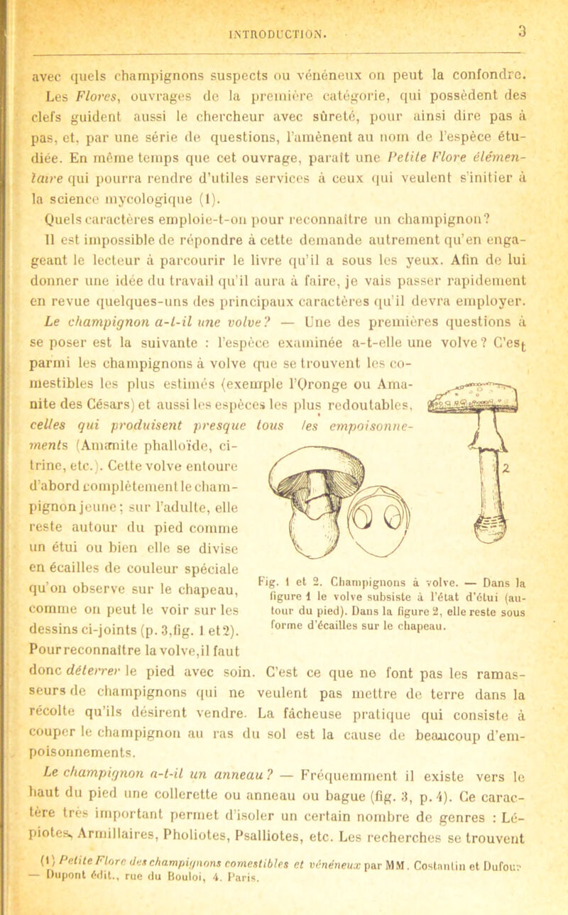 k. avec quels champignons suspects ou vénéneux on peut la confondre. Les Flores, ouvrages de la première catégorie, qui possèdent des clefs guident aussi le chercheur avec sûreté, pour ainsi dire pas à pas, et, par une série de questions, l’amènent au nom de l’espèce étu- diée. En même temps que cet ouvrage, parait une Petite Flore élémen- taire qui pourra rendre d’utiles services à ceux ([ui veulent s’initier à la science mycologique (1). Quels caractères emploie-t-oii jiour reconnaître un champignon? 11 est impossible de répondre à celte demande autrement qu’en enga- geant le lecteur à parcourir le livre qu’il a sous les yeux. Afin de lui donner une idée du travail qu’il aura à faire, je vais passer rapidement en revue quelques-uns des principaux caractères qu’il devra employer. Le ehampignon a-t-il une volve? — Une des premières questions à se poser est la suivante : l’espèce examinée a-t-elle une volve ? C’esj. parmi les champignons à volve que se trouvent les co- mestibles les plus estimés (exemple l’Oronge ou Ama- nite des Césars) et aussi les espèces les plus redoutables, celles qui produisent presque tous les empoisonne- ments (AniiTOite phalloïde, ci- Irine, etc.). Cette volve entoure d’abord complètement le cham- pignon jeune; sur l’adulte, elle reste autour du pied comme un étui ou bien elle se divise en écailles de couleur spéciale qu’on observe sur le chapeau, comme on peut le voir sur les dessins ci-joints (p. 3,lig. 1 et2). Pour reconnaître la volve,il faut donc déterrer le pied avec soin. C’est ce que ne font pas les ramas- seurs de champignons (jui ne veulent pas mettre de terre dans la récolte qu’ils désirent vendre. La fâcheuse pratique qui consiste à couper le champignon au ras du sol est la cause de beancoup d’em- poisonnements. Le champignon a-t-it un anneau? — Fréqueniment il existe vers le haut du pied une collerette ou anneau ou bague (fig. 3, p. -S). Ce carac- tère très important permet d’isoler un certain nombre de genres : Lé- piotes, Armillaires, Pholiotes, Psalliotes, etc. Les recherches se trouvent Fig. 1 et 2. Champignons à volve. — Dans la figure 1 le volve subsiste à l'état d'étui (au- tour du pied). Dans la figure 2, elle reste sous forme d'écailles sur le chapeau. 1 {*) Petite Flore dex champif/nons comestibles et vénéneux par MM. Costantin et Üufou:- — Dupont édit., rue du Bouloi, 4. Paris.