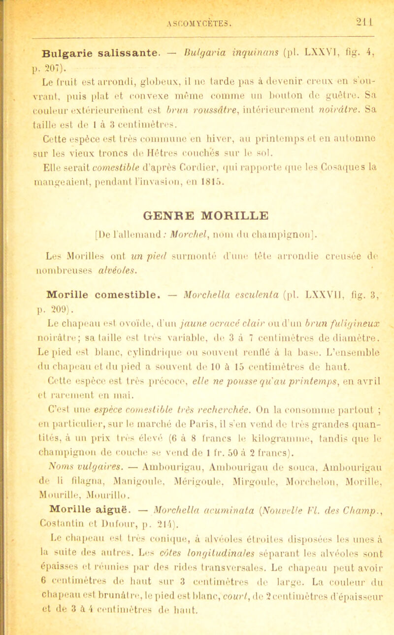 Bulgarie salissante. — Dulgaria inquinans (pl. LX.WI, fig. 4, p. 207). Le fruit estiUTunili, glol)eux, il iio liirde pus à devenir creux (ui s'ou- vraiil. puis plat et convexe même (domine un Ixmlon do guêtre. S.t couleur extérieureiiumt est hrun roîwsdtre, intériemamient noirâtre. Sa laille est de 1 à 3 centimètres. Cette espèce est très commune en hiver, au iirinlemps et eu automne sur les vieux troncs de Hêtres couchés sur le sol. Elle sevail comestible d'a[)rès Cordier, (pii l'apiuirte ipie les Cosaipies la mangeaient, [lendant l'invasion, en I8I.7. GENRE MORILLE [De rallemand; Morchel, nom du champignon]. Les -Morilles ont un pied surmontii d'une tête arrondie creusée de noinhi'cuses alvéoles. Morille comestible. — Morchella escule?ita (pl. LXXVll, fig. 3, p. 209). Le chapmm est ovo'ide, d'un jaune ocracé clair ou d'un brun fuligineux noirâtre; sa laille osl lri'‘s variahie, de 3 à 7 cenlimétres de diamètre. Le pied est blanc, cylindriipio ou souvent reiitlé à la base. L’ensemble du chapeau et du pied a souvent de 10 à 15 centimètres do haut. Cette espèce est Irf's iirccoce, elle ne pousse qu au printemps, en avril et rarement en mai. C’esI une espèce comestible très recherchée. On la consomme partout ; en particulier, sur le marché do Paris, il s'en vend de I rês gi'andes (jiuin- tilés, à un prix I ri''s élcvi'’ (6 à 8 fi-ancs le kilogramme, tandis que le champignon de couche se vimd de 1 fr. 50 à 2 francs). Noms vulgaires. — Amhourigau, Ambourigau de souca, Ambourigau de li filagnu, .Manigoulo, .Mèrigoule, Mirgoule, Morchclon, Morille, Momdlle, -Mourillo. Morille aiguë. — Morchella acuminala [NouveVe Fl. des Champ., Coslanlin et Dufour, p. 2l'i). Le chapeau est 1res coniipie, à alvéoles éti’idles disposées les unes à la suite des autres. Les côtes longitudinales séparant les idvéoles sont épaisses et réunies ])ar des rides Iransversales. Le chapeau peut avoir 6 centimètres d(‘ haut sui' 3 cenlimétres de large. La couleur du chaiieau est brunâl rc, le pied est blanc, court, do 2 centimètres d'é[)aisseur et de 3 à 4 cenliniètn;s de haut.