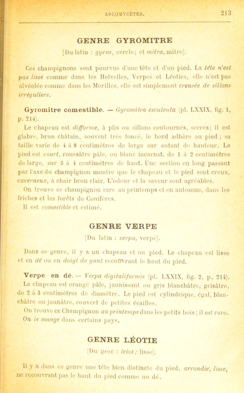 GENRE GYROMITRE [Üulatiu : gyvus, cercle; et mitre]. Ces champignons sont pourvus d'une tête et d’un pied. La tête n’est pas lisse comme dans les Ilelvelles, Verpes et Léoties, elle n’est pas alvéolée comme dans les Morilles, elle est simplement creusée de sillons iirégidiers. Gyromitre comestible. — Gyromilra esculenta (pl. LXXIX, fig. 1, p. 214). Le chapeau est difforme, à plis ou sillons contournés, serrés; il est glabre, brun châtain, souvent très foncé, le bord adhère au pied ; sa taille varie de 4 à 8 centimètres de large sur autant de hauteur. Le pied est court, roussâtre pâle, ou blanc incarnat, de 1 à 2 centimètres de large, sur 3 à 4 centimètres de haut. Une section en long passant parl'a.xedu champignon montre (pie le chapeau et le pied sont creux, caverneux, à chair brun clair. L’odeur (>t la saveur sont agréables. On trouve ce champignon rare au pidutemps et en automne, dans les friches et les forêts de Conifères. 11 est C07neslible et estimé. GENRE VERPE [Du latin : verpa, verpe]. Dans ce genre, il y a un chapeau et un pied. Le chapeau est lisse et en dé ou eu doigt de gant recomn-ant le haut du pied. Verpe en dé.— Verpa digitalif’ormis (pl. LXXIX, fig. 2, p. 214). Le chapeau est orange j)âle, jaunissant ou gris blanchâtre, grisâtre, de 2 à 3 centimètres do diamètre. Le pied est cylindrique, égal, blan- châtre ou jaunâtre, couvert de petites écailles. On trouve ce Champignon au printemps dans les petits bois ; il est rare. On le mange dans ceidains pays. GENRE LÉOTIE [Du grec : leios ; lisse]. Il y a dans ce genre une tête bien distincl(.’ du pied, arrondie', lisse, ne recouvrant j)as le haut du ]>ied comme un dé.