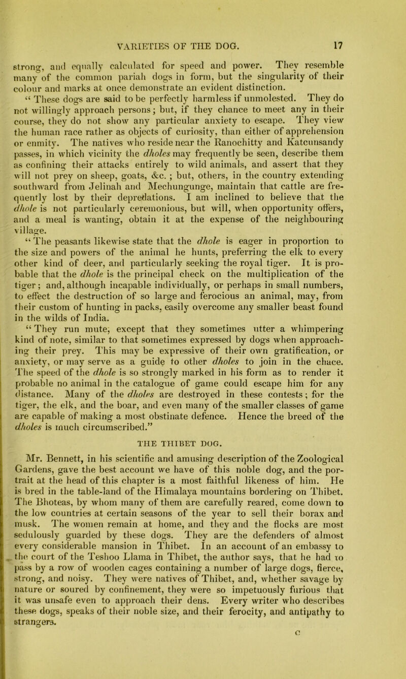 strong, ami equally calculated for speed and power. They resemble many of the common pariah dogs in form, but the singularity of their colour and marks at once demonstrate an evident distinction. “ These dogs are said to be perfectly harmless if umuolested. They do not willingly approach persons; but, if they chance to meet any in their course, they do not show any particular anxiety to escape. They view the human race rather as objects of curiosity, than either of apprehension or enmity. The natives who reside near the Ranochitty and Katcunsandy passes, in which vicinity the dholes may frequently be seen, describe them as confining their attacks entirely to wild animals, and assert that they will not prey on sheep, goats, &c, ; but, others, in the country extending southward from Jelinah and Mechungunge, maintain that cattle are fre- quently lost by their depredations. I am inclined to believe that the dhole is not particularly ceremonious, but will, when opportunity offers, and a meal is wanting, obtain it at the expense of the neighbouring villa2:e. “ The peasants likewise state that the dhole is eager in proportion to the size and powers of the animal he hunts, preferring the elk to every other kind of deer, and particularly seeking the royal tiger. It is pro- bable that the dhole is the principal check on the multiplication of the tiger; and, although incapable individually, or perhaps in small numbers, to effect the destruction of so large and ferocious an animal, may, from their custom of hunting in packs, easily overcome any smaller beast found in the wilds of India. “ They run mute, except that they sometimes utter a whimpering kind of note, similar to that sometimes expressed by dogs when approach- ing their prey. This may be expressive of their own gratification, or anxiety, or may serve as a guide to other dholes to join in the chace. The speed of the dhole is so strongly marked in his form as to render it probable no animal in the catalogue of game could escape him for any (listance. Many of the dholes are destroyed in these contests; for the tiger, the elk, and the boar, and even many of the smaller classes of game are capable of making a most obstinate defence. Hence the breed of the dholes is much circumscribed.” THE THIBET DOG. Mr. Bennett, in his scientific and amusing description of the Zoological Gardens, gave the best account we have of this noble dog, and the por- trait at the head of this chapter is a most faithful likeness of him. He is bred in the table-land of the Himalaya mountains bordering on Thibet. The Bhoteas, by whom many of them are carefully reared, come down to the low countries at certain seasons of the year to sell their borax and musk. The women remain at home, and they and the flocks are most sedulously guarded by these dogs. They are the defenders of almost every considerable mansion in Thibet. In an account of an embassy to the court of the Teshoo Llama in Thibet, the author says, that he had xo pass by a row of wooden cages containing a number of large dogs, fierce, strong, and noisy. They were natives of Thibet, and, whether savage by nature or soured by confinement, they were so impetuously furious that it was unsafe even to approach their dens. Every writer who describes these dogs, speaks of their noble size, and their ferocity, and antipathy to strangers. c