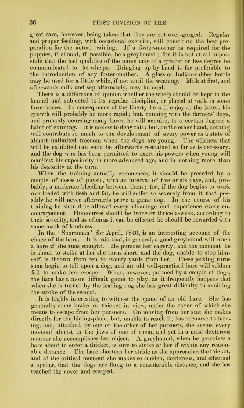 great care, however, being taken tliat tliey are not over-gorged. Ivegnlar and proper feeding, with occasional exercise, will constitute the best pre- paration for the actual training. If a foster-mother be required for the puppies, it should, if possible, be a greyhound ; for it is not at all impos- sible that the bad qualities of the nurse may to a greater or less degree be communicated to the whelps. Bringing up by hand is far preferable to the introduction of any foster-mother. A glass or Indian-rubber bottle may be used for a little while, if not until the weaning. Milk at first, and afterwards milk and sop alternately, may be used. There is a difference of opinion whether the whelp should be kept in the kennel and subjected to its regular discipline, or placed at walk in some farm-house. In consequence of the liberty he Avill enjoy at the latter, his growth will probably be more rapid ; but, running with the farmers’ dogs, and probably coursing many hares, he will acquire, to a certain degree, a habit of cunning. It is useless to deny this ; but, on the other hand, nothing will contribute so much to the development of every power as a state of almost unlimited freedom when the dogs are jmung. The wildness that will be exhibited can soon be afterwards restrained so far as is necessary, and the dog who has been permitted to exert his powers when young will manifest his superiority in more advanced age, and in nothing more than his dexterity at the turn. When the training actually commences, it should be preceded by a couple of doses of phj’sic, with an interval of five or six days, and, pro- bably, a moderate bleeding between them ; for, if the dog begins to work overloaded with flesh and fat, he will suffer so severely from it that pos- sibly he will never afterwards prove a game dog. In the course of his training he should be allowed every advantage and experience every en- couragement. His courses should be twice or thrice a-week, according to their severity, and as often as it can be effected he should be rewarded with some mark of kindness. In the ‘ Sportsman’ for April, 1840, is an interesting account of the cliace of the liare. It is said that, in general, a good greyhound will reach a hare if she runs straight. He pursues her eagerly, and the moment he is about to strike at her she turns short, and the dog, unable to stop him- self, is thrown from ten to twenty yards from lier. These jerking turns soon begin to tell upon a dog, and an old well-practised hare will seldom fail to make her escape. When, however, pursued by a couple of dogs, the hare has a more difficult game to play, as it frequently happens that when she is turned by the leading dog she has great difficulty in avoiding the stroke of tiie second. It is highly interesting to witness the game of an old hare. She has generally some brake or thicket in view, under the cover of which she means to escape from her pursuers. On moving from her seat she makes directly for the hiding-place, but, unable to reach it, has recourse to turn- ing, and, attacked by one or the other of her pursuers, she seems every moment almost in the jaws of one of them, and yet in a most dexterous manner she accomplishes her object. A greyhound, when he perceives a hare about to enter a thicket, is sure to strike at her if within any reason- able distance. The hare shortens her stride as she approaches the thicket, and at the critical moment she makes so sudden, dexterous, and effectual a spring, that the dogs are filing to a considerable distance, and she has reached the cover and escaped.