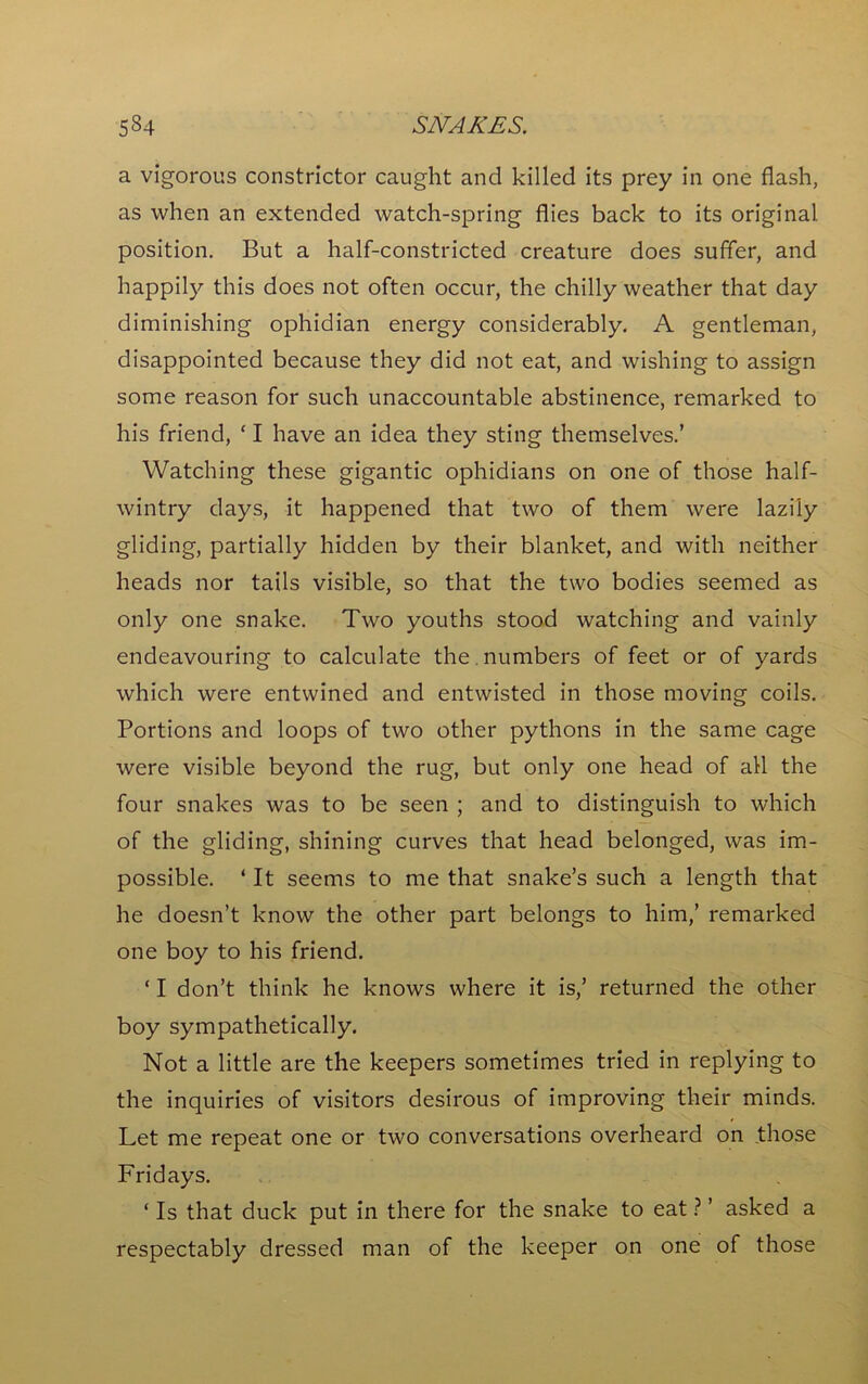 a vigorous constrictor caught and killed its prey in one flash, as when an extended watch-spring flies back to its original position. But a half-constricted creature does suffer, and happily this does not often occur, the chilly weather that day diminishing ophidian energy considerably. A gentleman, disappointed because they did not eat, and wishing to assign some reason for such unaccountable abstinence, remarked to his friend, ‘ I have an idea they sting themselves.’ Watching these gigantic ophidians on one of those half- wintry days, it happened that two of them were lazily gliding, partially hidden by their blanket, and with neither heads nor tails visible, so that the two bodies seemed as only one snake. Two youths stood watching and vainly endeavouring to calculate the numbers of feet or of yards which were entwined and entwisted in those moving coils. Portions and loops of two other pythons in the same cage were visible beyond the rug, but only one head of all the four snakes was to be seen ; and to distinguish to which of the gliding, shining curves that head belonged, was im- possible. ‘ It seems to me that snake’s such a length that he doesn’t know the other part belongs to him,’ remarked one boy to his friend. ‘ I don’t think he knows where it is,’ returned the other boy sympathetically. Not a little are the keepers sometimes tried in replying to the inquiries of visitors desirous of improving their minds. Let me repeat one or two conversations overheard on those Fridays. ‘ Is that duck put in there for the snake to eat ? ’ asked a respectably dressed man of the keeper on one of those