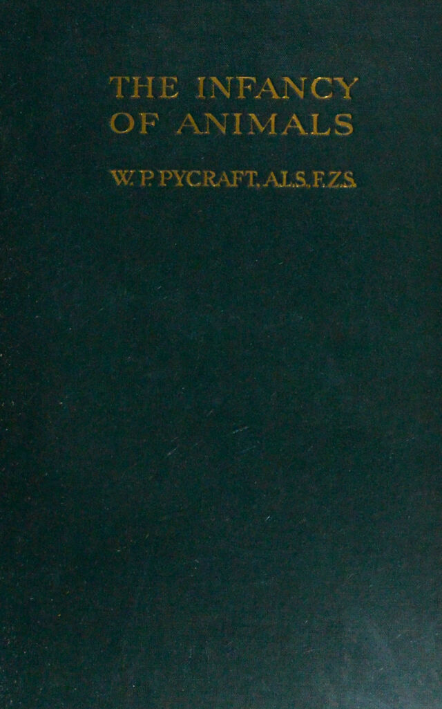 No text description is available for this image