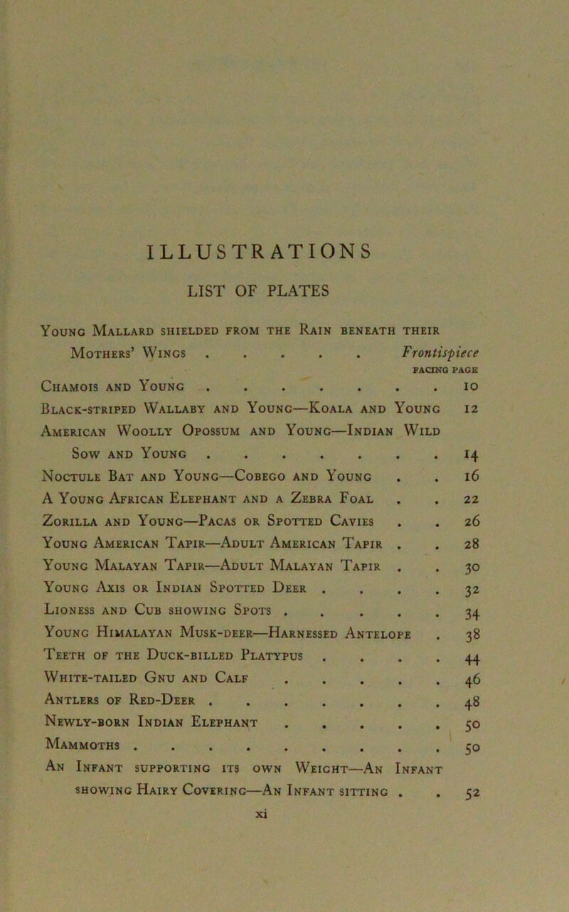 ILLUSTRATIONS LIST OF PLATES Young Mallard shielded from the Rain beneath their Mothers’ Wings ..... Frontispiece FACING PAGE Chamois and Young ....... io Black-striped Wallaby and Young—Koala and Young 12 American Woolly Opossum and Young—Indian Wild Sow and Young ....... 14 Noctule Bat and Young—Cobego and Young . . 16 A Young African Elephant and a Zebra Foal . . 22 Zorilla and Young—Pacas or Spotted Cavies . . 26 Young American Tapir—Adult American Tapir . . 28 Young Malayan Tapir—Adult Malayan Tapir . . 30 Young Axis or Indian Spotted Deer .... 32 Lioness and Cub showing Spots . . . . . 34 Young Himalayan Musk-deer—Harnessed Antelope . 38 Teeth of the Duck-billed Platypus .... 44 White-tailed Gnu and Calf ..... 46 Antlers of Red-Deer ....... 48 Newly-born Indian Elephant 50 Mammoths ......... co An Infant supporting its own Weight—An Infant showing Hairy Covering—An Infant sitting . t