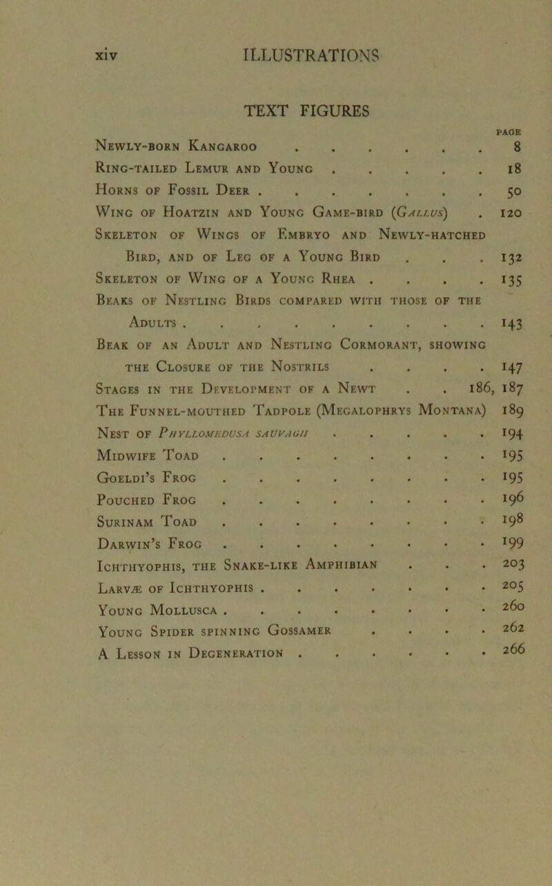 TEXT FIGURES PAOB Newly-born Kangaroo ...... 8 Ring-tailed Lemur and Young ..... 18 Horns of Fossil Deer ....... 50 Wing of Hoatzin and Younc Game-bird (Gallus) . 120 Skeleton of Wings of Embryo and Newly-hatched Bird, and of Leg of a Young Bird . . . 132 Skeleton of Wing of a Young Rhea . . . . 135 Bf.aks of Nestling Birds compared with those of the Adults ......... 143 Beak of an Adult and Nestling Cormorant, showing the Closure of the Nostrils .... 147 Stages in the Development of a Newt . . 186, 187 The Funnel-mouthed Tadpole (Megalophrys Montana) 189 Nest of P hyllomhdvsa saw aim ..... 194 Midwife Toad ........ 195 Goeldi’s Frog ........ 195 Pouched Frog ........ 196 Surinam Toad ........ l9% Darwin’s Frog ........ *99 Ichthyophis, the Snake-like Amphibian . . . 203 Larvje of Ichthyophis ....... 205 Young Mollusca ........ 2^° Young Spider spinning Gossamer .... 262 A Lesson in Degeneration 266