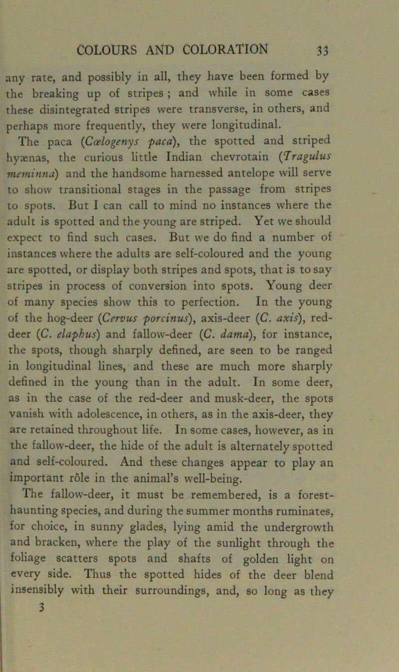 any rate, and possibly in all, they have been formed by the breaking up of stripes ; and while in some cases these disintegrated stripes were transverse, in others, and perhaps more frequently, they were longitudinal. The paca (Coelogenys paca), the spotted and striped hyaenas, the curious little Indian chevrotain (Tragulus meminna) and the handsome harnessed antelope will serve to show transitional stages in the passage from stripes to spots. But I can call to mind no instances where the adult is spotted and the young are striped. Yet we should expect to find such cases. But we do find a number of instances where the adults are self-coloured and the young are spotted, or display both stripes and spots, that is to say stripes in process of conversion into spots. Young deer of many species show this to perfection. In the young of the hog-deer (Cervus porcinus), axis-deer (C. axis), red- deer (C. elaphus) and fallow-deer (C. dama), for instance, the spots, though sharply defined, are seen to be ranged in longitudinal lines, and these are much more sharply defined in the young than in the adult. In some deer, as in the case of the red-deer and musk-deer, the spots vanish with adolescence, in others, as in the axis-deer, they are retained throughout life. In some cases, however, as in the fallow-deer, the hide of the adult is alternately spotted and self-coloured. And these changes appear to play an important role in the animal’s well-being. The fallow-deer, it must be remembered, is a forest- haunting species, and during the summer months ruminates, for choice, in sunny glades, lying amid the undergrowth and bracken, where the play of the sunlight through the foliage scatters spots and shafts of golden light on every side. Thus the spotted hides of the deer blend insensibly with their surroundings, and, so long as they 3