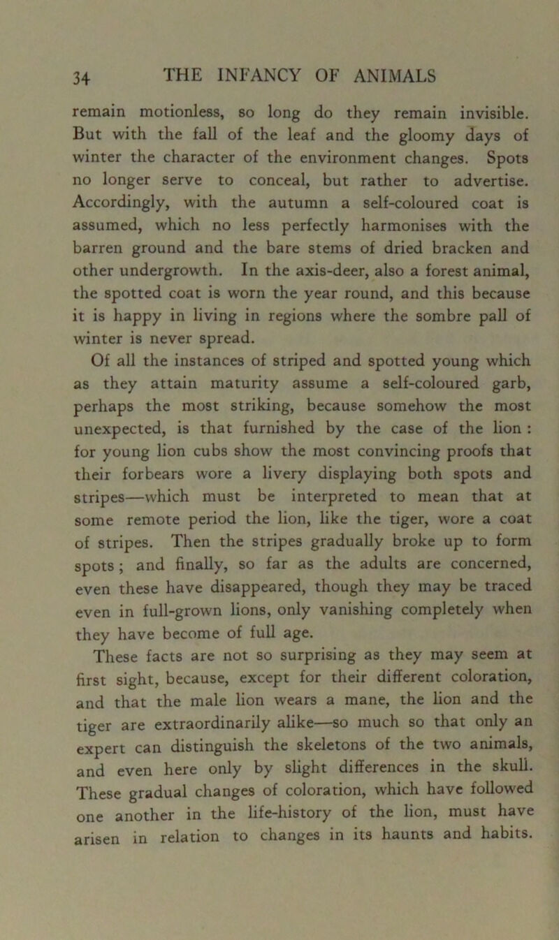remain motionless, so long do they remain invisible. But with the fall of the leaf and the gloomy days of winter the character of the environment changes. Spots no longer serve to conceal, but rather to advertise. Accordingly, with the autumn a self-coloured coat is assumed, which no less perfectly harmonises with the barren ground and the bare stems of dried bracken and other undergrowth. In the axis-deer, also a forest animal, the spotted coat is worn the year round, and this because it is happy in living in regions where the sombre pall of winter is never spread. Of all the instances of striped and spotted young which as they attain maturity assume a self-coloured garb, perhaps the most striking, because somehow the most unexpected, is that furnished by the case of the lion : for young lion cubs show the most convincing proofs that their forbears wore a livery displaying both spots and stripes—which must be interpreted to mean that at some remote period the lion, like the tiger, wore a coat of stripes. Then the stripes gradually broke up to form spots; and finally, so far as the adults are concerned, even these have disappeared, though they may be traced even in full-grown lions, only vanishing completely when they have become of full age. These facts are not so surprising as they may seem at first sight, because, except for their different coloration, and that the male lion wears a mane, the lion and the tiger are extraordinarily alike—so much so that only an expert can distinguish the skeletons of the two animals, and even here only by slight differences in the skull. These gradual changes of coloration, which have followed one another in the life-history of the lion, must have arisen in relation to changes in its haunts and habits.