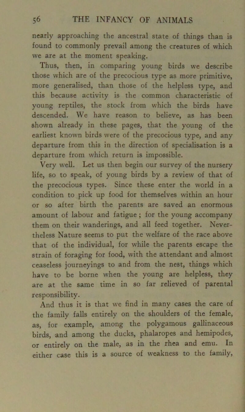 nearly approaching the ancestral state of things than is found to commonly prevail among the creatures of which we are at the moment speaking. Thus, then, in comparing young birds we describe those which are of the precocious type as more primitive, more generalised, than those of the helpless type, and this because activity is the common characteristic of young reptiles, the stock from which the birds have descended. We have reason to believe, as has been shown already in these pages, that the young of the earliest known birds were of the precocious type, and any departure from this in the direction of specialisation is a departure from which return is impossible. Very well. Let us then begin our survey of the nursery life, so to speak, of young birds by a review of that of the precocious types. Since these enter the world in a condition to pick up food for themselves within an hour or so after birth the parents are saved an enormous amount of labour and fatigue ; for the young accompany them on their wanderings, and all feed together. Never- theless Nature seems to put the welfare of the race above that of the individual, for while the parents escape the strain of foraging for food, with the attendant and almost ceaseless journeyings to and from the nest, things which have to be borne when the young are helpless, they are at the same time in so far relieved of parental responsibility. And thus it is that we find in many cases the care of the family falls entirely on the shoulders of the female, as, for example, among the polygamous gallinaceous birds, and among the ducks, phalaropes and hemipodes, or entirely on the male, as in the rhea and emu. In either case this is a source of weakness to the family,