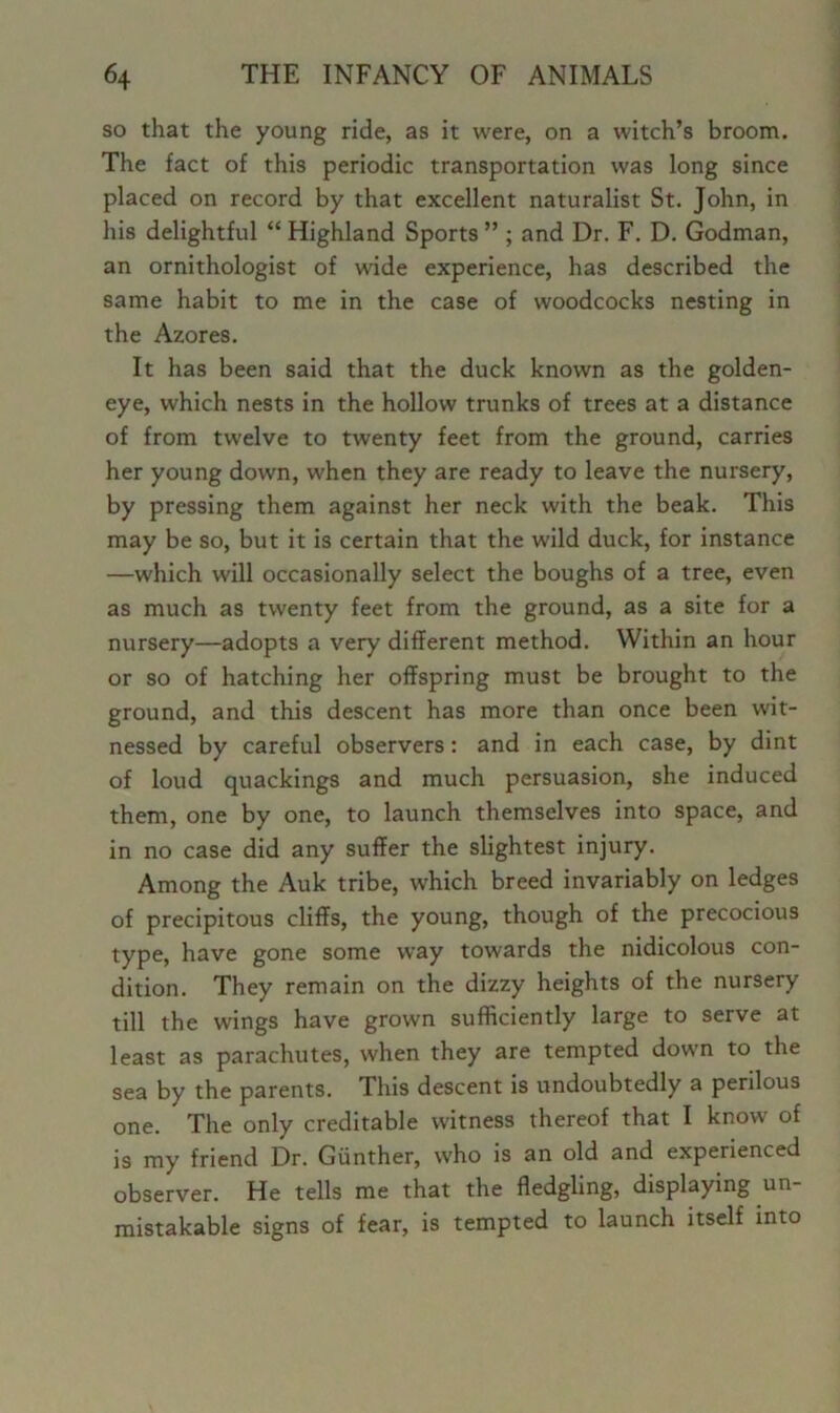 so that the young ride, as it were, on a witch’s broom. The fact of this periodic transportation was long since placed on record by that excellent naturalist St. John, in his delightful “ Highland Sports ” ; and Dr. F. D. Godman, an ornithologist of wide experience, has described the same habit to me in the case of woodcocks nesting in the Azores. It has been said that the duck known as the golden- eye, which nests in the hollow trunks of trees at a distance of from twelve to twenty feet from the ground, carries her young down, when they are ready to leave the nursery, by pressing them against her neck with the beak. This may be so, but it is certain that the wild duck, for instance —which will occasionally select the boughs of a tree, even as much as twenty feet from the ground, as a site for a nursery—adopts a very different method. Within an hour or so of hatching her offspring must be brought to the ground, and this descent has more than once been wit- nessed by careful observers: and in each case, by dint of loud quackings and much persuasion, she induced them, one by one, to launch themselves into space, and in no case did any suffer the slightest injury. Among the Auk tribe, which breed invariably on ledges of precipitous cliffs, the young, though of the precocious type, have gone some way towards the nidicolous con- dition. They remain on the dizzy heights of the nursery till the wings have grown sufficiently large to serve at least as parachutes, when they are tempted down to the sea by the parents. This descent is undoubtedly a perilous one. The only creditable witness thereof that I know of is my friend Dr. Gunther, who is an old and experienced observer. He tells me that the fledgling, displaying un- mistakable signs of fear, is tempted to launch itself into