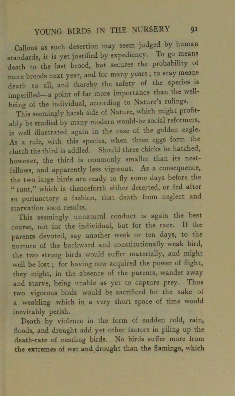 Callous as such desertion may seem judged by human standards, it is yet justified by expediency. To go means death to the last brood, but secures the probability of more broods next year, and for many years ; to stay means death to all, and thereby the safety of the species is imperilled—a point of far more importance than the well- being of the individual, according to Nature’s rulings. This seemingly harsh side of Nature, which might profit- ably be studied by many modern would-be social reformers, is well illustrated again in the case of the golden eagle. As a rule, with this species, when three eggs form the clutch the third is addled. Should three chicks be hatched, however, the third is commonly smaller than its nest- fellows, and apparently less vigorous. As a consequence, the two large birds are ready to fly some days before the “ runt,” which is thenceforth either deserted, or fed after so perfunctory a fashion, that death from neglect and starvation soon results. This seemingly unnatural conduct is again the best course, not for the individual, but for the race. If the parents devoted, say another week or ten days, to the nurture of the backward and constitutionally weak bird, the two strong birds would suffer materially, and might well be lost; for having now acquired the power of flight, they might, in the absence of the parents, wander away and starve, being unable as yet to capture prey. Thus two vigorous birds would be sacrificed for the sake of a weakling which in a very short space of time would inevitably perish. Death by violence in the form of sudden cold, rain, floods, and drought add yet other factors in piling up the death-rate of nestling birds. No birds suffer more from the extremes of wet and drought than the flamingo, which