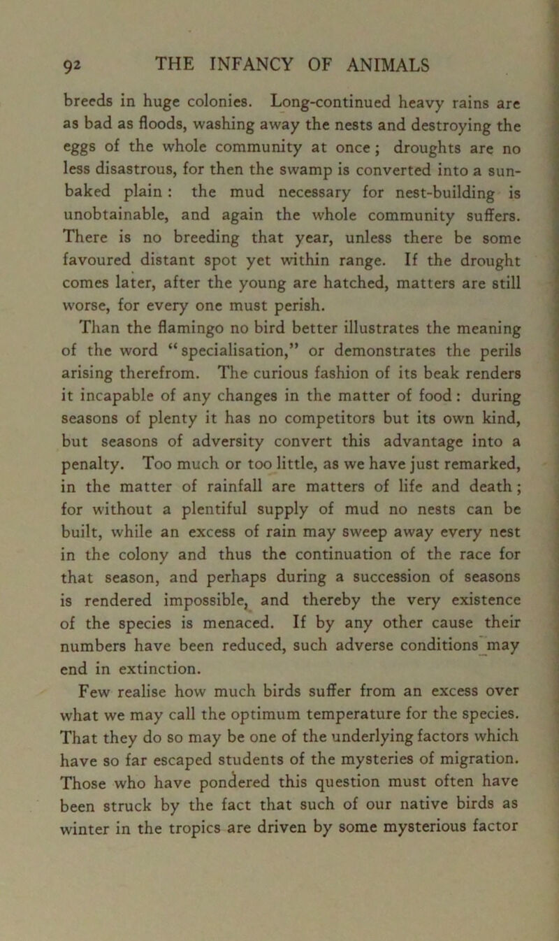 breeds in huge colonies. Long-continued heavy rains are as bad as floods, washing away the nests and destroying the eggs of the whole community at once; droughts are no less disastrous, for then the swamp is converted into a sun- baked plain : the mud necessary for nest-building is unobtainable, and again the whole community suffers. There is no breeding that year, unless there be some favoured distant spot yet within range. If the drought comes later, after the young are hatched, matters are still worse, for every one must perish. Than the flamingo no bird better illustrates the meaning of the word “specialisation,” or demonstrates the perils arising therefrom. The curious fashion of its beak renders it incapable of any changes in the matter of food: during seasons of plenty it has no competitors but its own kind, but seasons of adversity convert this advantage into a penalty. Too much or too little, as we have just remarked, in the matter of rainfall are matters of life and death; for without a plentiful supply of mud no nests can be built, while an excess of rain may sweep away every nest in the colony and thus the continuation of the race for that season, and perhaps during a succession of seasons is rendered impossible, and thereby the very existence of the species is menaced. If by any other cause their numbers have been reduced, such adverse conditions may end in extinction. Few realise how much birds suffer from an excess over what we may call the optimum temperature for the species. That they do so may be one of the underlying factors which have so far escaped students of the mysteries of migration. Those who have pondered this question must often have been struck by the fact that such of our native birds as winter in the tropics are driven by some mysterious factor