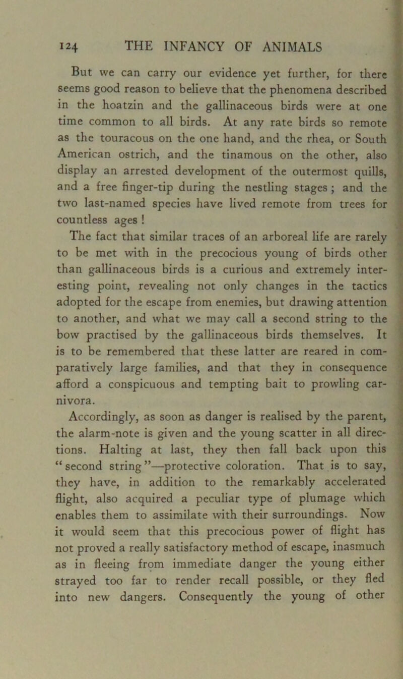 But we can carry our evidence yet further, for there seems good reason to believe that the phenomena described in the hoatzin and the gallinaceous birds were at one time common to all birds. At any rate birds so remote as the touracous on the one hand, and the rhea, or South American ostrich, and the tinamous on the other, also display an arrested development of the outermost quills, and a free finger-tip during the nestling stages ; and the two last-named species have lived remote from trees for countless ages ! The fact that similar traces of an arboreal life are rarely to be met with in the precocious young of birds other than gallinaceous birds is a curious and extremely inter- esting point, revealing not only changes in the tactics adopted for the escape from enemies, but drawing attention to another, and what we may call a second string to the bow practised by the gallinaceous birds themselves. It is to be remembered that these latter are reared in com- paratively large families, and that they in consequence afford a conspicuous and tempting bait to prowling car- nivora. Accordingly, as soon as danger is realised by the parent, the alarm-note is given and the young scatter in all direc- tions. Halting at last, they then fall back upon this “second string”—protective coloration. That is to say, they have, in addition to the remarkably accelerated flight, also acquired a peculiar type of plumage which enables them to assimilate with their surroundings. Now it would seem that this precocious power of flight has not proved a really satisfactory method of escape, inasmuch as in fleeing from immediate danger the young either strayed too far to render recall possible, or they fled into new dangers. Consequently the young of other