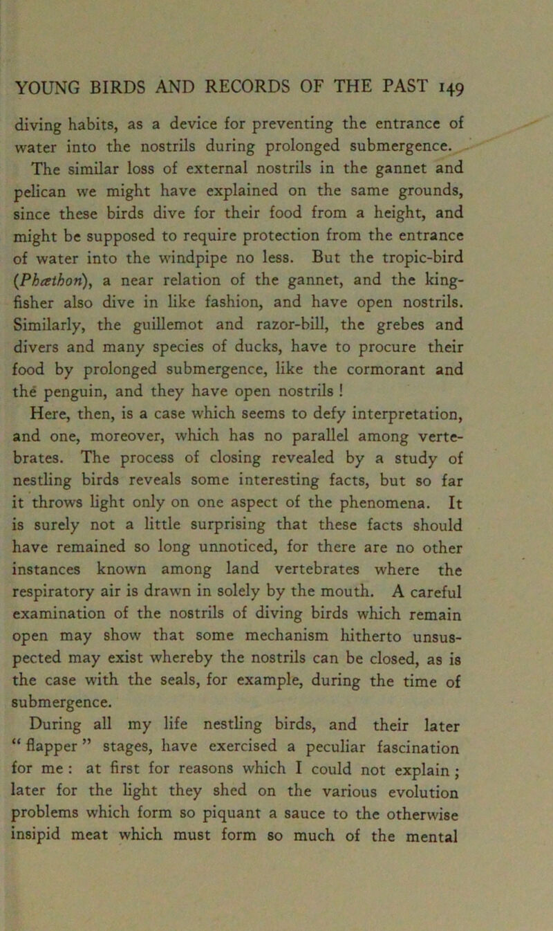 diving habits, as a device for preventing the entrance of water into the nostrils during prolonged submergence. The similar loss of external nostrils in the gannet and pelican we might have explained on the same grounds, since these birds dive for their food from a height, and might be supposed to require protection from the entrance of water into the windpipe no less. But the tropic-bird (Phcethon), a near relation of the gannet, and the king- fisher also dive in like fashion, and have open nostrils. Similarly, the guillemot and razor-bill, the grebes and divers and many species of ducks, have to procure their food by prolonged submergence, like the cormorant and the penguin, and they have open nostrils ! Here, then, is a case which seems to defy interpretation, and one, moreover, which has no parallel among verte- brates. The process of closing revealed by a study of nestling birds reveals some interesting facts, but so far it throws light only on one aspect of the phenomena. It is surely not a little surprising that these facts should have remained so long unnoticed, for there are no other instances known among land vertebrates where the respiratory air is drawn in solely by the mouth. A careful examination of the nostrils of diving birds which remain open may show that some mechanism hitherto unsus- pected may exist whereby the nostrils can be closed, as is the case with the seals, for example, during the time of submergence. During all my life nestling birds, and their later “ flapper ” stages, have exercised a peculiar fascination for me : at first for reasons which I could not explain ; later for the light they shed on the various evolution problems which form so piquant a sauce to the otherwise insipid meat which must form so much of the mental