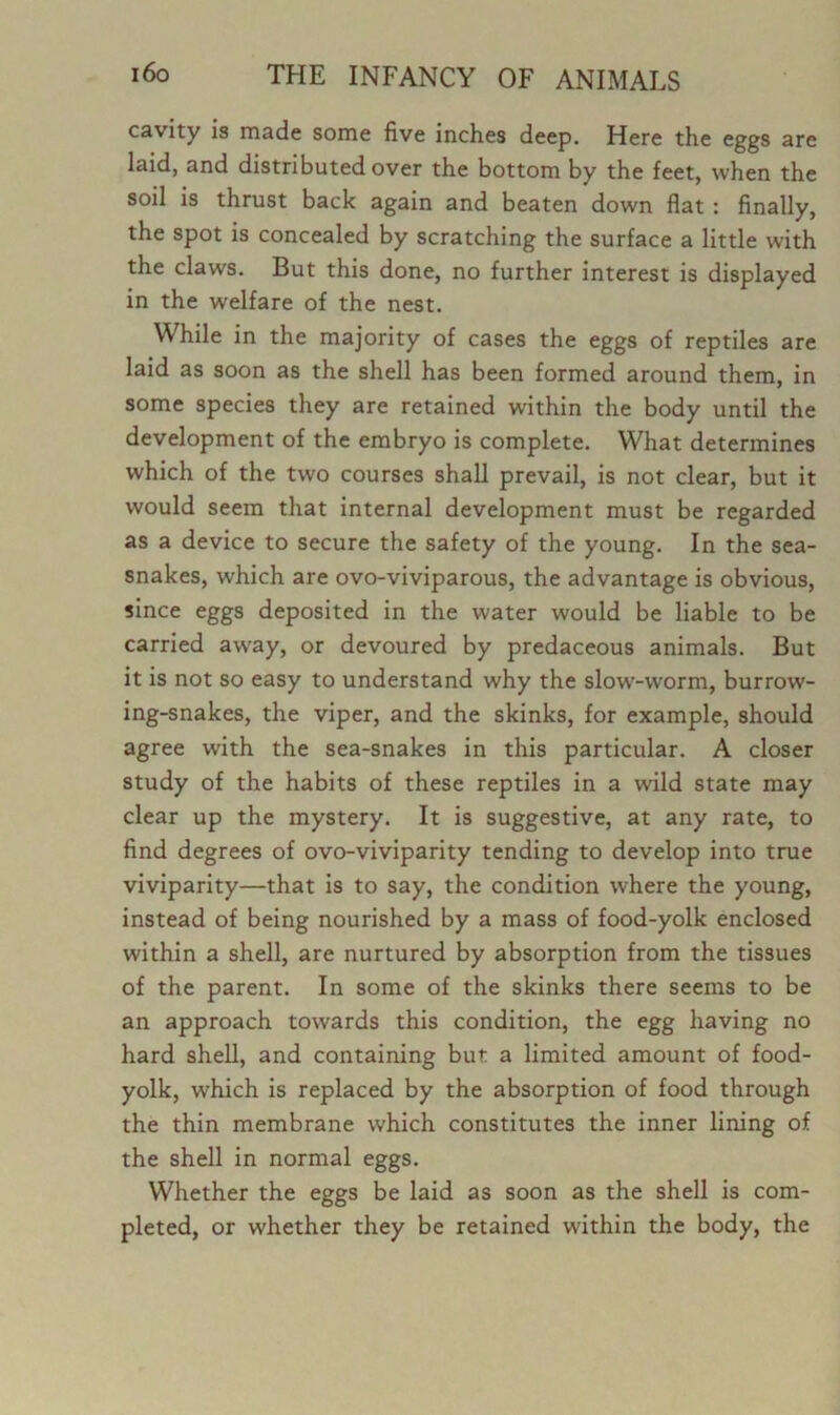 cavity is made some five inches deep. Here the eggs are laid, and distributed over the bottom by the feet, when the soil is thrust back again and beaten down flat : finally, the spot is concealed by scratching the surface a little with the claws. But this done, no further interest is displayed in the welfare of the nest. While in the majority of cases the eggs of reptiles are laid as soon as the shell has been formed around them, in some species they are retained within the body until the development of the embryo is complete. What determines which of the two courses shall prevail, is not clear, but it would seem that internal development must be regarded as a device to secure the safety of the young. In the sea- snakes, which are ovo-viviparous, the advantage is obvious, since eggs deposited in the water would be liable to be carried away, or devoured by predaceous animals. But it is not so easy to understand why the slow-worm, burrow- ing-snakes, the viper, and the skinks, for example, should agree with the sea-snakes in this particular. A closer study of the habits of these reptiles in a wild state may clear up the mystery. It is suggestive, at any rate, to find degrees of ovo-viviparity tending to develop into true viviparity—that is to say, the condition where the young, instead of being nourished by a mass of food-yolk enclosed within a shell, are nurtured by absorption from the tissues of the parent. In some of the skinks there seems to be an approach towards this condition, the egg having no hard shell, and containing but a limited amount of food- yolk, which is replaced by the absorption of food through the thin membrane which constitutes the inner lining of the shell in normal eggs. Whether the eggs be laid as soon as the shell is com- pleted, or whether they be retained within the body, the