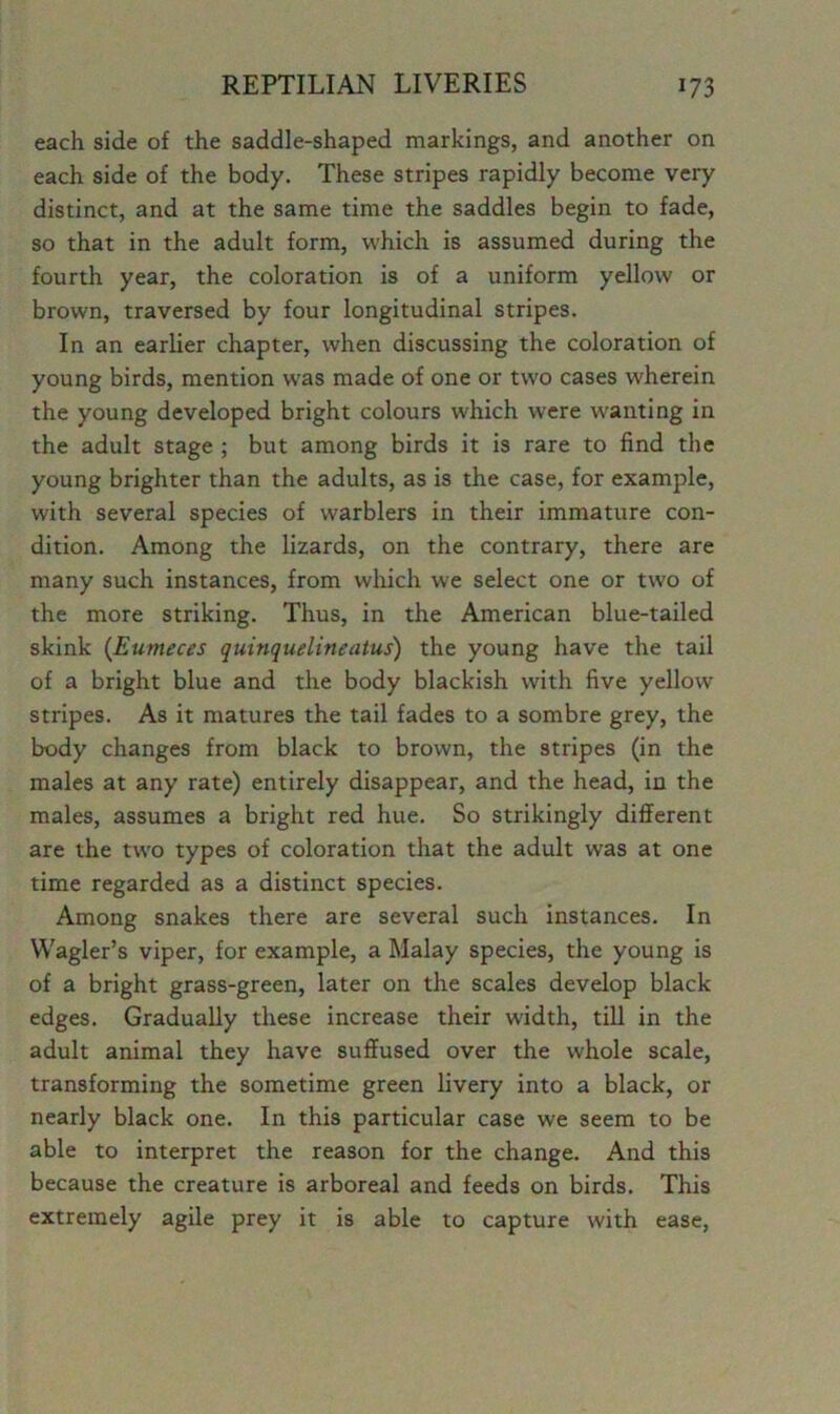 each side of the saddle-shaped markings, and another on each side of the body. These stripes rapidly become very distinct, and at the same time the saddles begin to fade, so that in the adult form, which is assumed during the fourth year, the coloration is of a uniform yellow or brown, traversed by four longitudinal stripes. In an earlier chapter, when discussing the coloration of young birds, mention was made of one or two cases wherein the young developed bright colours which were wanting in the adult stage ; but among birds it is rare to find the young brighter than the adults, as is the case, for example, with several species of warblers in their immature con- dition. Among the lizards, on the contrary, there are many such instances, from which we select one or two of the more striking. Thus, in the American blue-tailed skink (Eumeces quinquelineatus) the young have the tail of a bright blue and the body blackish with five yellow stripes. As it matures the tail fades to a sombre grey, the body changes from black to brown, the stripes (in the males at any rate) entirely disappear, and the head, in the males, assumes a bright red hue. So strikingly different are the two types of coloration that the adult was at one time regarded as a distinct species. Among snakes there are several such instances. In Wagler’s viper, for example, a Malay species, the young is of a bright grass-green, later on the scales develop black edges. Gradually these increase their width, till in the adult animal they have suffused over the whole scale, transforming the sometime green livery into a black, or nearly black one. In this particular case we seem to be able to interpret the reason for the change. And this because the creature is arboreal and feeds on birds. This extremely agile prey it is able to capture with ease,