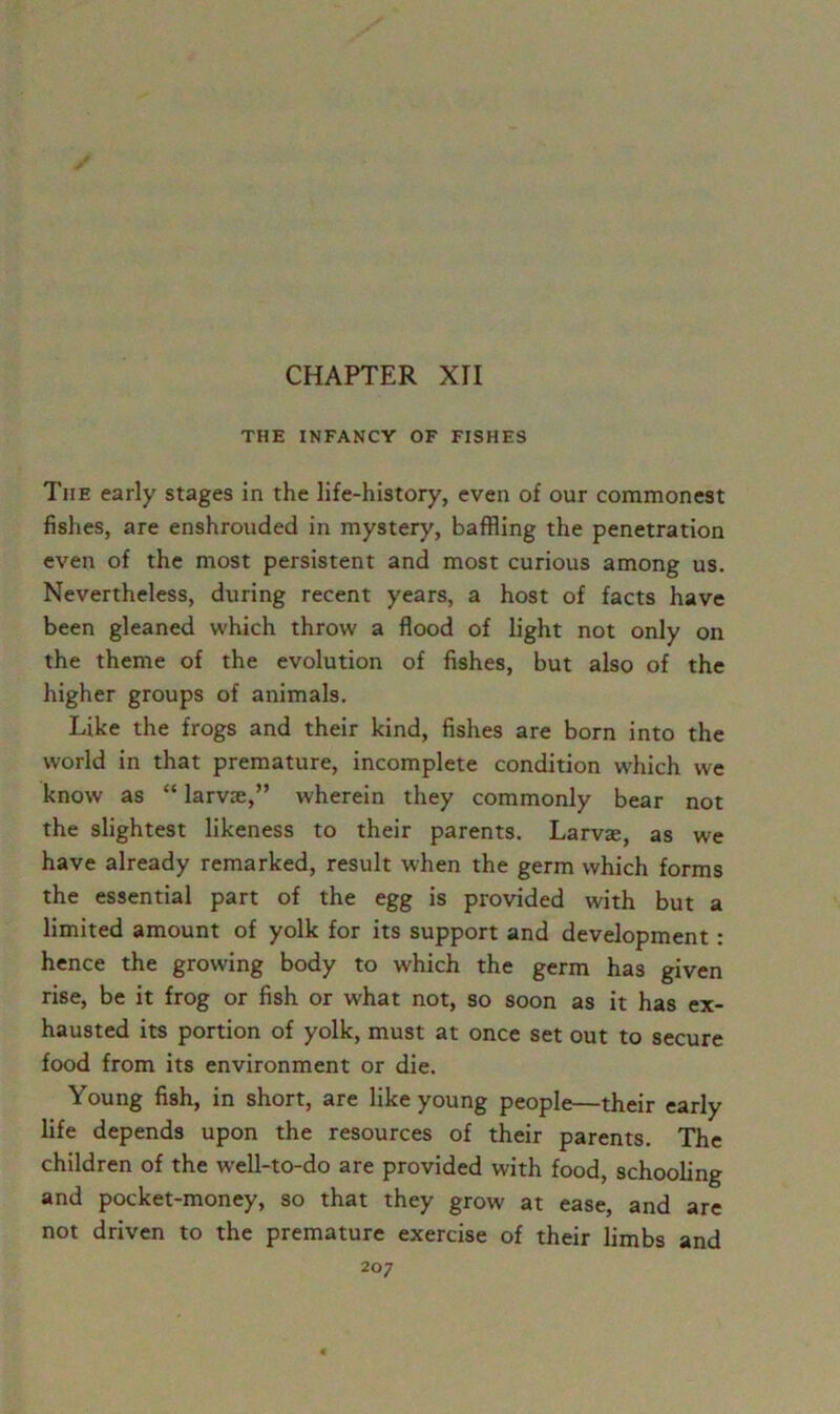 CHAPTER XII THE INFANCY OF FISHES The early stages in the life-history, even of our commonest fishes, are enshrouded in mystery, baffling the penetration even of the most persistent and most curious among us. Nevertheless, during recent years, a host of facts have been gleaned which throw a flood of light not only on the theme of the evolution of fishes, but also of the higher groups of animals. Like the frogs and their kind, fishes are bom into the world in that premature, incomplete condition wdiich we know as “ larvae,” wherein they commonly bear not the slightest likeness to their parents. Larvae, as we have already remarked, result when the germ which forms the essential part of the egg is provided with but a limited amount of yolk for its support and development : hence the growing body to which the germ has given rise, be it frog or fish or what not, so soon as it has ex- hausted its portion of yolk, must at once set out to secure food from its environment or die. Young fish, in short, are like young people—their early life depends upon the resources of their parents. The children of the u'ell-to-do are provided with food, schooling and pocket-money, so that they grow at ease, and are not driven to the premature exercise of their limbs and