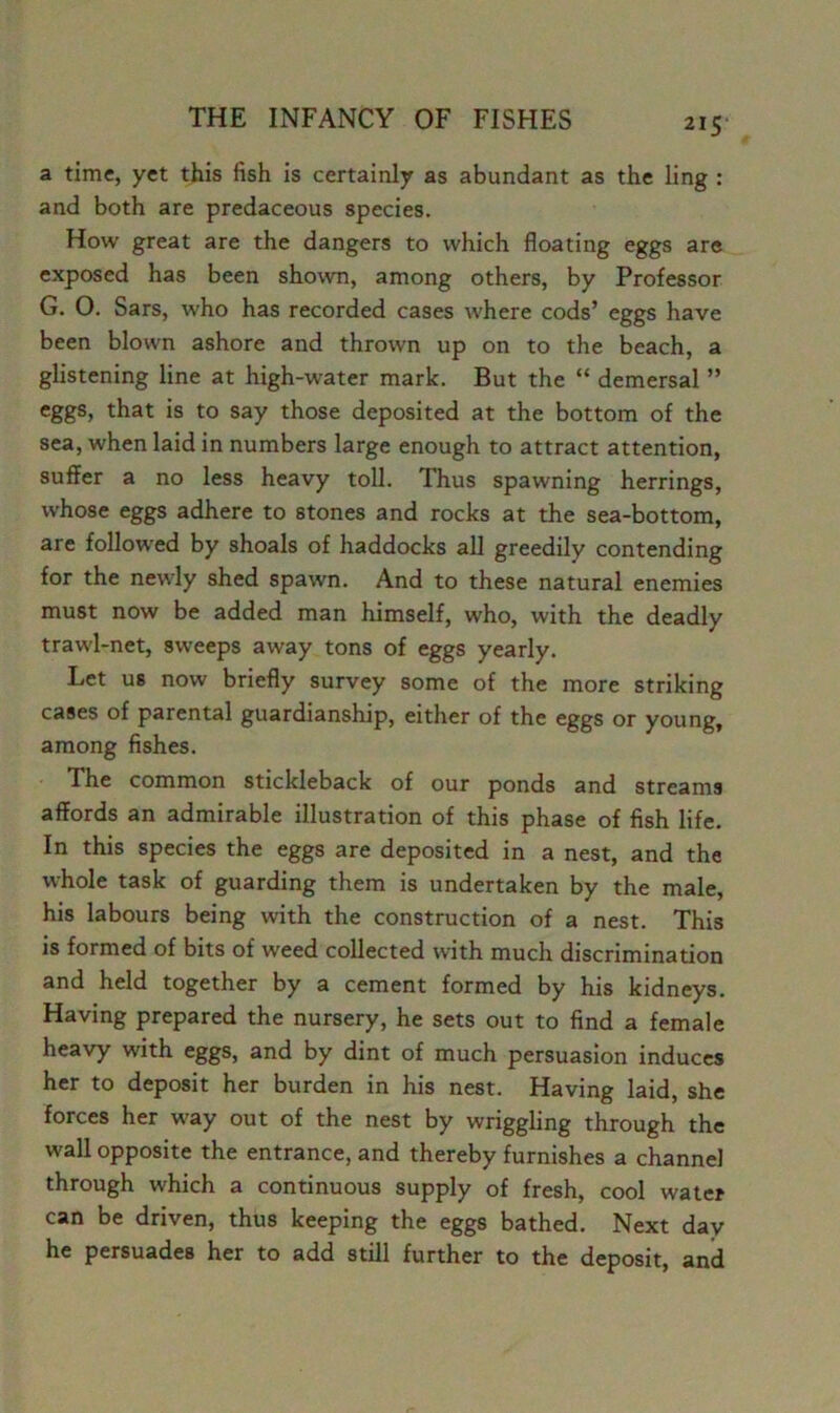 a time, yet this fish is certainly as abundant as the ling : and both are predaceous species. How great are the dangers to which floating eggs are exposed has been shown, among others, by Professor G. 0. Sars, who has recorded cases where cods’ eggs have been blown ashore and thrown up on to the beach, a glistening line at high-water mark. But the “ demersal ” eggs, that is to say those deposited at the bottom of the sea, when laid in numbers large enough to attract attention, suffer a no less heavy toll. Thus spawning herrings, whose eggs adhere to stones and rocks at the sea-bottom, are followed by shoals of haddocks all greedily contending for the newly shed spawn. And to these natural enemies must now be added man himself, who, with the deadly trawl-net, sweeps away tons of eggs yearly. Let us now briefly survey some of the more striking cases of parental guardianship, either of the eggs or young, among fishes. The common stickleback of our ponds and streams affords an admirable illustration of this phase of fish life. In this species the eggs are deposited in a nest, and the whole task of guarding them is undertaken by the male, his labours being with the construction of a nest. This is formed of bits of weed collected with much discrimination and held together by a cement formed by his kidneys. Having prepared the nursery, he sets out to find a female heavy with eggs, and by dint of much persuasion induces her to deposit her burden in his nest. Having laid, she forces her way out of the nest by wriggling through the wall opposite the entrance, and thereby furnishes a channel through which a continuous supply of fresh, cool water can be driven, thus keeping the eggs bathed. Next day he persuades her to add still further to the deposit, and