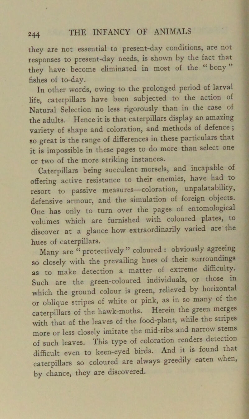 244 they are not essential to present-day conditions, are not responses to present-day needs, is shown by the fact that they have become eliminated in most of the bony fishes of to-day. In other words, owing to the prolonged period of larval life, caterpillars have been subjected to the action of Natural Selection no less rigorously than in the case of the adults. Hence it is that caterpillars display an amazing variety of shape and coloration, and methods of defence ; so great is the range of differences in these particulars that it is impossible in these pages to do more than select one or two of the more striking instances. Caterpillars being succulent morsels, and incapable of offering active resistance to their enemies, have had. to resort to passive measures—coloration, unpalatability, defensive armour, and the simulation of foreign objects. One has only to turn over the pages of entomological volumes which are furnished with coloured plates, to discover at a glance how extraordinarily varied are the hues of caterpillars. Many are “ protectively ” coloured : obviously agreeing so closely with the prevailing hues of their surroundings as to make detection a matter of extreme difficulty. Such are the green-coloured individuals, or those in which the ground colour is green, relieved by horizontal or oblique stripes of white or pink, as in so many of the caterpillars of the hawk-moths. Herein the green merges with that of the leaves of the food-plant, while the stripes more or less closely imitate the mid-ribs and narrow stems of such leaves. This type of coloration renders detection difficult even to keen-eyed birds. And it is found that caterpillars so coloured are always greedily eaten when, by chance, they are discovered.