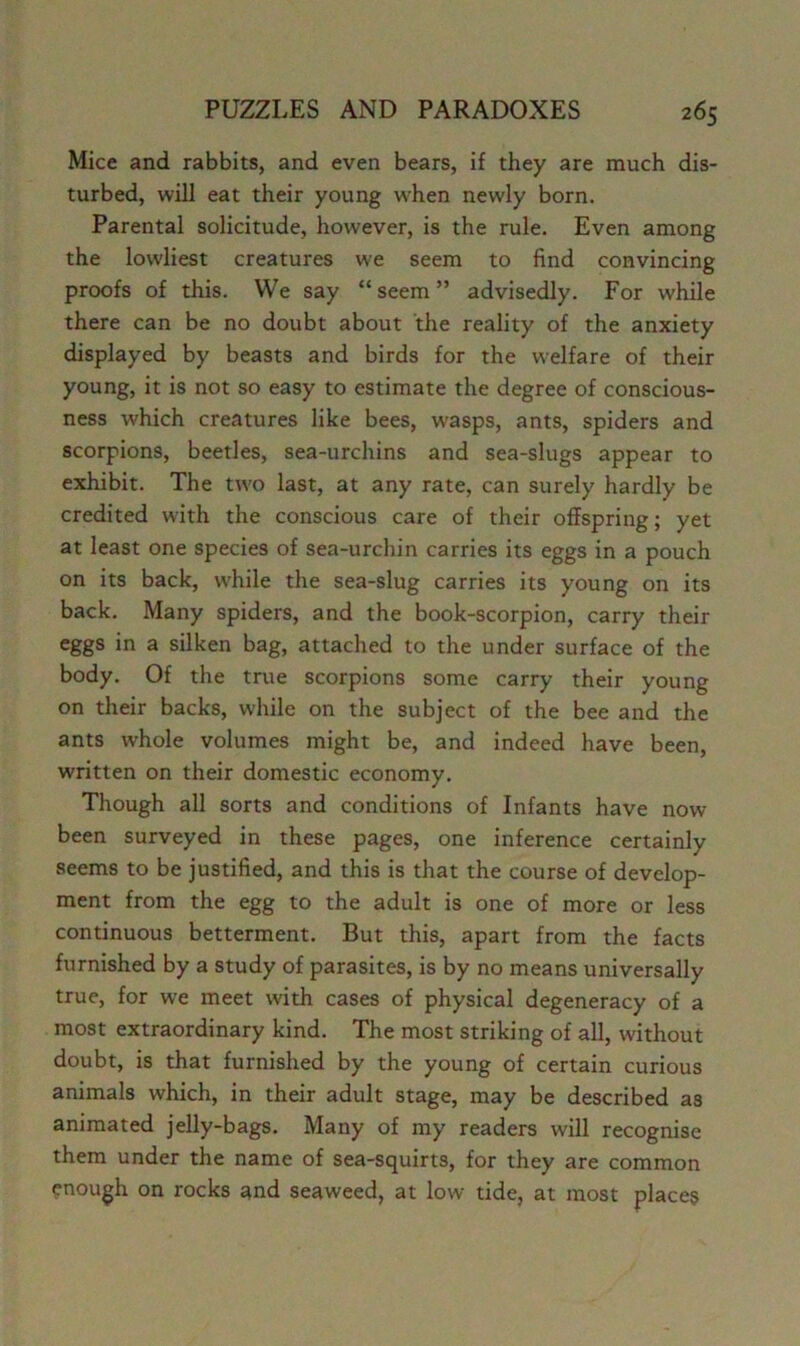 Mice and rabbits, and even bears, if they are much dis- turbed, will eat their young when newly born. Parental solicitude, however, is the rule. Even among the lowliest creatures we seem to find convincing proofs of this. We say “seem” advisedly. For while there can be no doubt about the reality of the anxiety displayed by beasts and birds for the welfare of their young, it is not so easy to estimate the degree of conscious- ness which creatures like bees, wasps, ants, spiders and scorpions, beetles, sea-urchins and sea-slugs appear to exhibit. The two last, at any rate, can surely hardly be credited with the conscious care of their offspring; yet at least one species of sea-urchin carries its eggs in a pouch on its back, while the sea-slug carries its young on its back. Many spiders, and the book-scorpion, carry their eggs in a silken bag, attached to the under surface of the body. Of the true scorpions some carry their young on their backs, while on the subject of the bee and the ants whole volumes might be, and indeed have been, written on their domestic economy. Though all sorts and conditions of Infants have now been surveyed in these pages, one inference certainly seems to be justified, and this is that the course of develop- ment from the egg to the adult is one of more or less continuous betterment. But this, apart from the facts furnished by a study of parasites, is by no means universally true, for we meet with cases of physical degeneracy of a most extraordinary kind. The most striking of all, without doubt, is that furnished by the young of certain curious animals which, in their adult stage, may be described as animated jelly-bags. Many of my readers will recognise them under the name of sea-squirts, for they are common enough on rocks and seaweed, at low tide, at most places