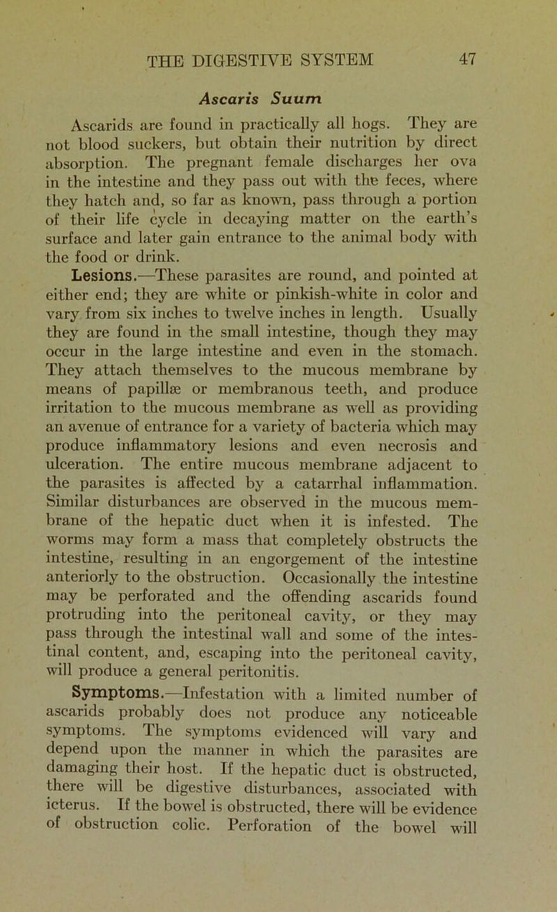 Ascaris Suum Ascarids are found in practically all hogs. They are not blood suckers, but obtain their nutrition by direct absorption. The pregnant female discharges her ova in the intestine and they pass out with the feces, where they hatch and, so far as known, pass through a portion of their life cycle in decaying matter on the earth’s surface and later gain entrance to the animal body with the food or drink. Lesions.-—These parasites are round, and pointed at either end; they are white or pinkish-white in color and vary from six inches to twelve inches in length. Usually they are found in the small intestine, though they may occur in the large intestine and even in the stomach. They attach themselves to the mucous membrane by means of papillae or membranous teeth, and produce irritation to the mucous membrane as well as providing an avenue of entrance for a variety of bacteria which may produce inflammatory lesions and even necrosis and ulceration. The entire mucous membrane adjacent to the parasites is affected by a catarrhal inflammation. Similar disturbances are observed in the mucous mem- brane of the hepatic duct when it is infested. The worms may form a mass that completely obstructs the intestine, resulting in an engorgement of the intestine anteriorly to the obstruction. Occasionally the intestine may be perforated and the offending ascarids found protruding into the peritoneal cavity, or they may pass through the intestinal wall and some of the intes- tinal content, and, escaping into the peritoneal cavity, will produce a general peritonitis. Symptoms.—Infestation with a limited number of ascarids probably does not produce any noticeable symptoms. The symptoms evidenced will vaiy and depend upon the manner in which the parasites are damaging their host. If the hepatic duct is obstructed, there will be digestive disturbances, associated with icterus. If the bowel is obstructed, there will be evidence of obstruction colic. Perforation of the bowel will