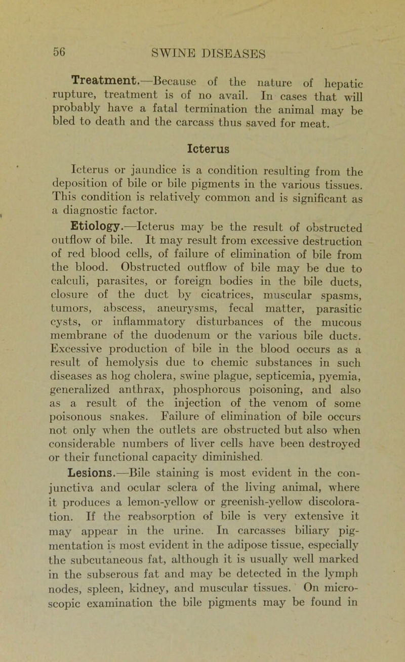 Treatment.—Because of the nature of hepatic rupture, treatment is of no avail. In cases that will probably have a fatal termination the animal may be bled to death and the carcass thus saved for meat. Icterus Icterus or jaundice is a condition resulting from the deposition of bile or bile pigments in the various tissues. This condition is relatively common and is significant as a diagnostic factor. Etiology.-—Icterus may be the result of obstructed outflow of bile. It may result from excessive destruction of red blood cells, of failure of elimination of bile from the blood. Obstructed outflow of bile may be due to calculi, parasites, or foreign bodies in the bile ducts, closure of the duct by cicatrices, muscular spasms, tumors, abscess, aneurysms, fecal matter, parasitic cysts, or inflammatory disturbances of the mucous membrane of the duodenum or the various bile ducts. Excessive production of bile in the blood occurs as a result of hemolysis due to chemic substances in such diseases as hog cholera, swine plague, septicemia, pyemia, generalized anthrax, phosphorous poisoning, and also as a result of the injection of the venom of some poisonous snakes. Failure of elimination of bile occurs not only when the outlets are obstructed but also when considerable numbers of liver cells have been destroyed or their functional capacity diminished. Lesions.—Bile staining is most evident in the con- junctiva and ocular sclera of the living animal, where it produces a lemon-yellow or greenish-yellow discolora- tion. If the reabsorption of bile is very extensive it may appear in the urine. In carcasses biliary pig- mentation is most evident in the adipose tissue, especially the subcutaneous fat, although it is usually well marked in the subserous fat and may be detected in the lymph nodes, spleen, kidney, and muscular tissues. On micro- scopic examination the bile pigments may be found in