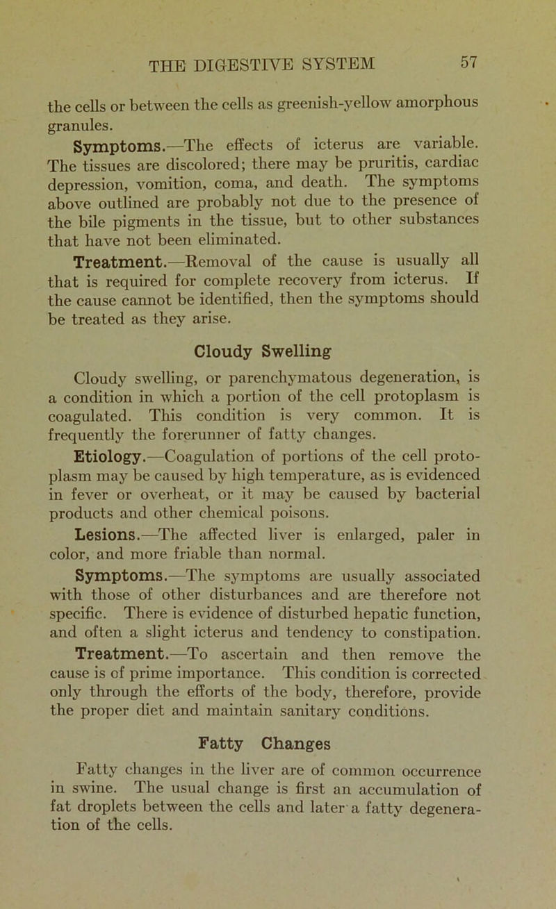 the cells or between the cells as greenish-yellow amorphous granules. Symptoms.—The effects of icterus are variable. The tissues are discolored; there may be pruritis, cardiac depression, vomition, coma, and death. The symptoms above outlined are probably not due to the presence of the bile pigments in the tissue, but to other substances that have not been eliminated. Treatment.—Removal of the cause is usually all that is required for complete recovery from icterus. If the cause cannot be identified, then the symptoms should be treated as they arise. Cloudy Swelling Cloudy swelling, or parenchymatous degeneration, is a condition in which a portion of the cell protoplasm is coagulated. This condition is very common. It is frequently the forerunner of fatty changes. Etiology.—Coagulation of portions of the cell proto- plasm may be caused by high temperature, as is evidenced in fever or overheat, or it may be caused by bacterial products and other chemical poisons. Lesions.—The affected liver is enlarged, paler in color, and more friable than normal. Symptoms.—The symptoms are usually associated with those of other disturbances and are therefore not specific. There is evidence of disturbed hepatic function, and often a slight icterus and tendency to constipation. Treatment.—To ascertain and then remove the cause is of prime importance. This condition is corrected only through the efforts of the body, therefore, provide the proper diet and maintain sanitary conditions. Fatty Changes Fatty changes in the liver are of common occurrence in swine. The usual change is first an accumulation of fat droplets between the cells and later a fatty degenera- tion of the cells.