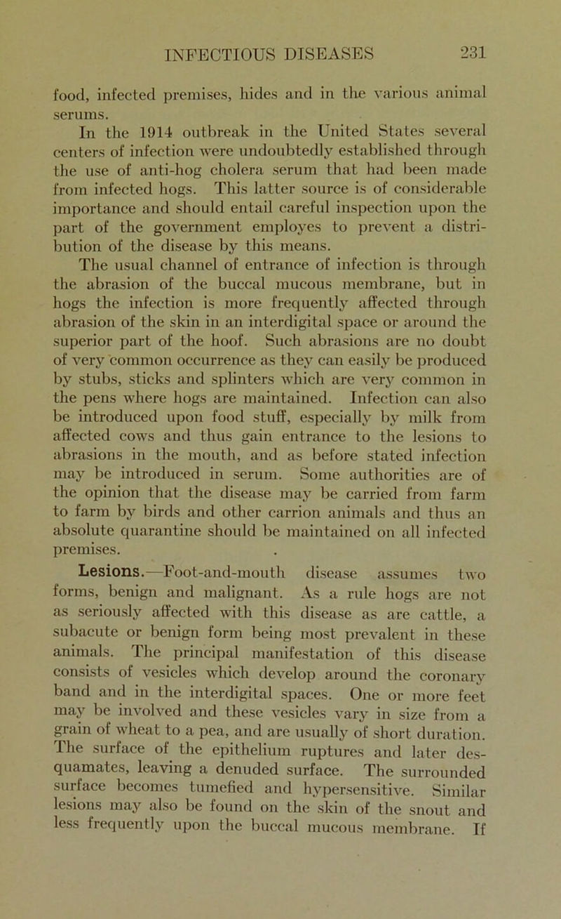 food, infected premises, hides and in the various animal serums. In the 1914 outbreak in the United States several centers of infection were undoubtedly established through the use of anti-hog cholera serum that had been made from infected hogs. This latter source is of considerable importance and should entail careful inspection upon the part of the government employes to prevent a distri- bution of the disease by this means. The usual channel of entrance of infection is through the abrasion of the buccal mucous membrane, but in hogs the infection is more frequently affected through abrasion of the skin in an interdigital space or around the superior part of the hoof. Such abrasions are no doubt of very common occurrence as they can easily be produced by stubs, sticks and splinters which are very common in the pens where hogs are maintained. Infection can also be introduced upon food stuff, especially by milk from affected cows and thus gain entrance to the lesions to abrasions in the mouth, and as before stated infection may be introduced in serum. Some authorities are of the opinion that the disease may be carried from farm to farm by birds and other carrion animals and thus an absolute quarantine should be maintained on all infected premises. Lesions.—Foot-and-mouth disease assumes two forms, benign and malignant. As a rule hogs are not as seriously affected with this disease as are cattle, a subacute or benign form being most prevalent in these animals. The principal manifestation of this disease consists of vesicles which develop around the coronary band and in the interdigital spaces. One or more feet may be involved and these vesicles vary in size from a grain of wheat to a pea, and are usually of short duration. The surface of the epithelium ruptures and later des- quamates, leaving a denuded surface. The surrounded surface becomes tumefied and hypersensitive. Similar lesions may also be found on the skin of the snout and less frequently upon the buccal mucous membrane. If