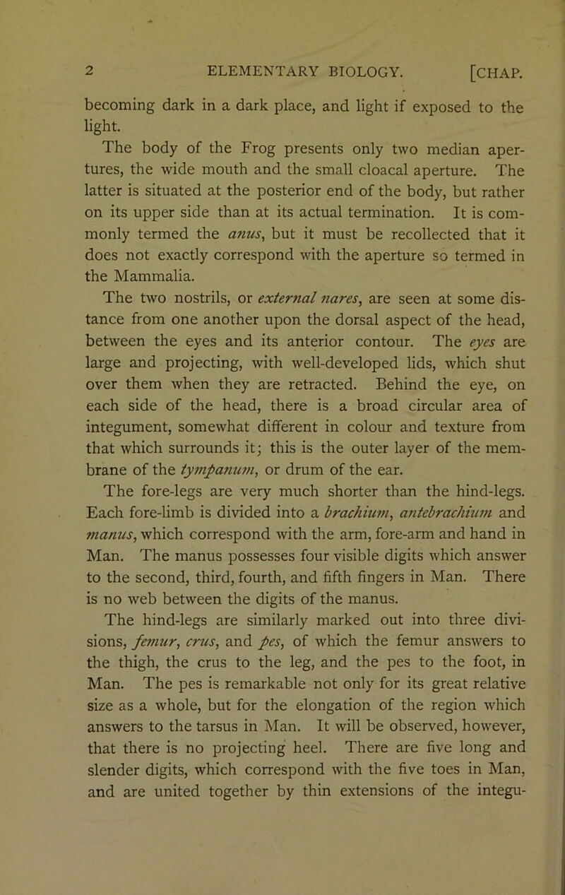 becoming dark in a dark place, and light if exposed to the light. The body of the Frog presents only two median aper- tures, the wide mouth and the small cloacal aperture. The latter is situated at the posterior end of the body, but rather on its upper side than at its actual termination. It is com- monly termed the a?ius, but it must be recollected that it does not exactly correspond with the aperture so termed in the Mammalia. The two nostrils, or external nares, are seen at some dis- tance from one another upon the dorsal aspect of the head, between the eyes and its anterior contour. The eyes are large and projecting, with well-developed lids, which shut over them when they are retracted. Behind the eye, on each side of the head, there is a broad circular area of integument, somewhat different in colour and texture from that which surrounds it; this is the outer layer of the mem- brane of the tympanum, or drum of the ear. The fore-legs are very much shorter than the hind-legs. Each fore-limb is divided into a brachium, antebrachium and manus, which correspond with the arm, fore-arm and hand in Man. The manus possesses four visible digits which answer to the second, third, fourth, and fifth fingers in Man. There is no web between the digits of the manus. The hind-legs are similarly marked out into three divi- sions, femur, crus, and pes, of which the femur answers to the thigh, the crus to the leg, and the pes to the foot, in Man. The pes is remarkable not only for its great relative size as a whole, but for the elongation of the region which answers to the tarsus in Man. It will be observed, however, that there is no projecting heel. There are five long and slender digits, which correspond with the five toes in Man, and are united together by thin extensions of the integu-