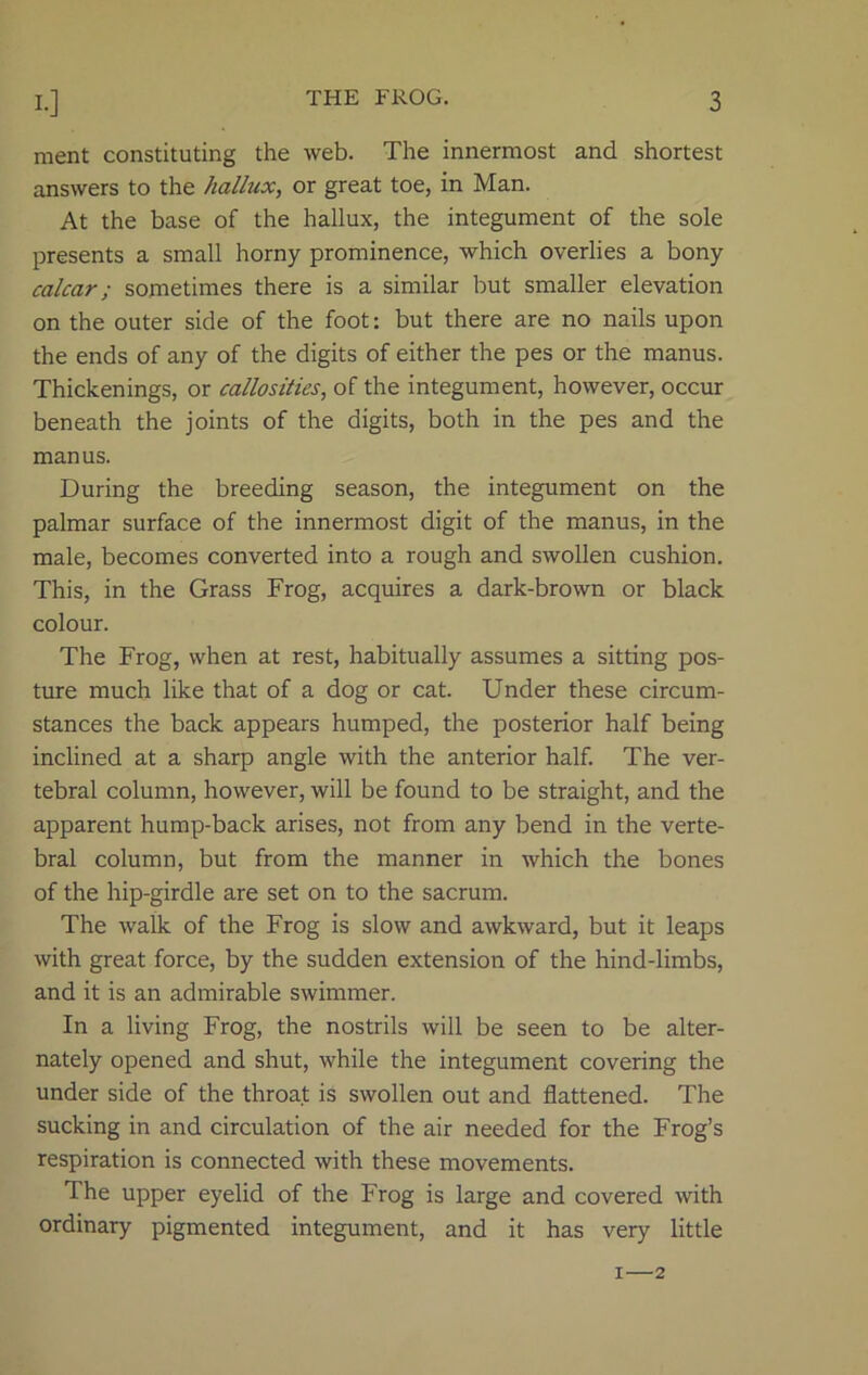 ment constituting the web. The innermost and shortest answers to the hallux, or great toe, in Man. At the base of the hallux, the integument of the sole presents a small horny prominence, which overlies a bony calcar; sometimes there is a similar but smaller elevation on the outer side of the foot: but there are no nails upon the ends of any of the digits of either the pes or the manus. Thickenings, or callosities, of the integument, however, occur beneath the joints of the digits, both in the pes and the manus. During the breeding season, the integument on the palmar surface of the innermost digit of the manus, in the male, becomes converted into a rough and swollen cushion. This, in the Grass Frog, acquires a dark-brown or black colour. The Frog, when at rest, habitually assumes a sitting pos- ture much like that of a dog or cat. Under these circum- stances the back appears humped, the posterior half being inclined at a sharp angle with the anterior half. The ver- tebral column, however, will be found to be straight, and the apparent hump-back arises, not from any bend in the verte- bral column, but from the manner in which the bones of the hip-girdle are set on to the sacrum. The walk of the Frog is slow and awkward, but it leaps with great force, by the sudden extension of the hind-limbs, and it is an admirable swimmer. In a living Frog, the nostrils will be seen to be alter- nately opened and shut, while the integument covering the under side of the throat is swollen out and flattened. The sucking in and circulation of the air needed for the Frog’s respiration is connected with these movements. The upper eyelid of the Frog is large and covered with ordinary pigmented integument, and it has very little i—2