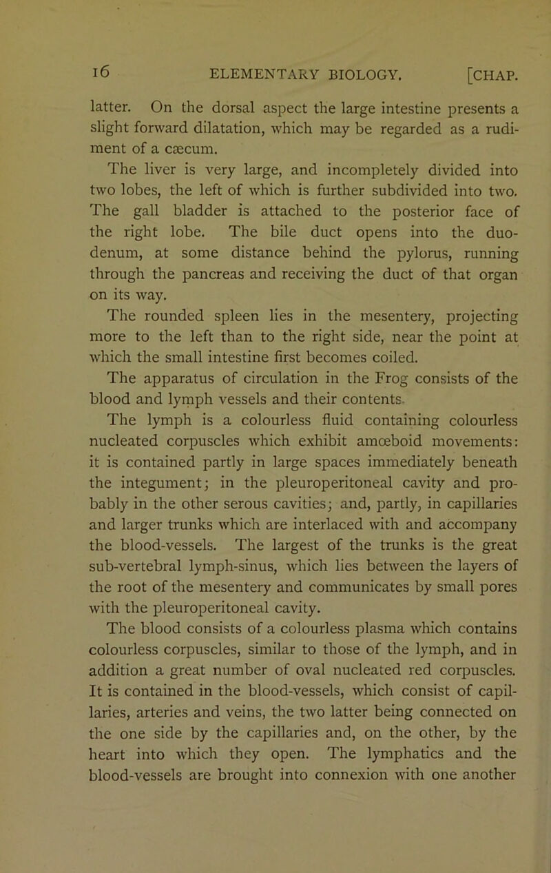 latter. On the dorsal aspect the large intestine presents a slight forward dilatation, which may be regarded as a rudi- ment of a caecum. The liver is very large, and incompletely divided into two lobes, the left of which is further subdivided into two. The gall bladder is attached to the posterior face of the right lobe. The bile duct opens into the duo- denum, at some distance behind the pylorus, running through the pancreas and receiving the duct of that organ on its way. The rounded spleen lies in the mesentery, projecting more to the left than to the right side, near the point at which the small intestine first becomes coiled. The apparatus of circulation in the Frog consists of the blood and lymph vessels and their contents. The lymph is a colourless fluid containing colourless nucleated corpuscles which exhibit amoeboid movements: it is contained partly in large spaces immediately beneath the integument; in the pleuroperitoneal cavity and pro- bably in the other serous cavities; and, partly, in capillaries and larger trunks which are interlaced with and accompany the blood-vessels. The largest of the trunks is the great sub-vertebral lymph-sinus, which lies between the layers of the root of the mesentery and communicates by small pores with the pleuroperitoneal cavity. The blood consists of a colourless plasma which contains colourless corpuscles, similar to those of the lymph, and in addition a great number of oval nucleated red corpuscles. It is contained in the blood-vessels, which consist of capil- laries, arteries and veins, the two latter being connected on the one side by the capillaries and, on the other, by the heart into which they open. The lymphatics and the blood-vessels are brought into connexion with one another