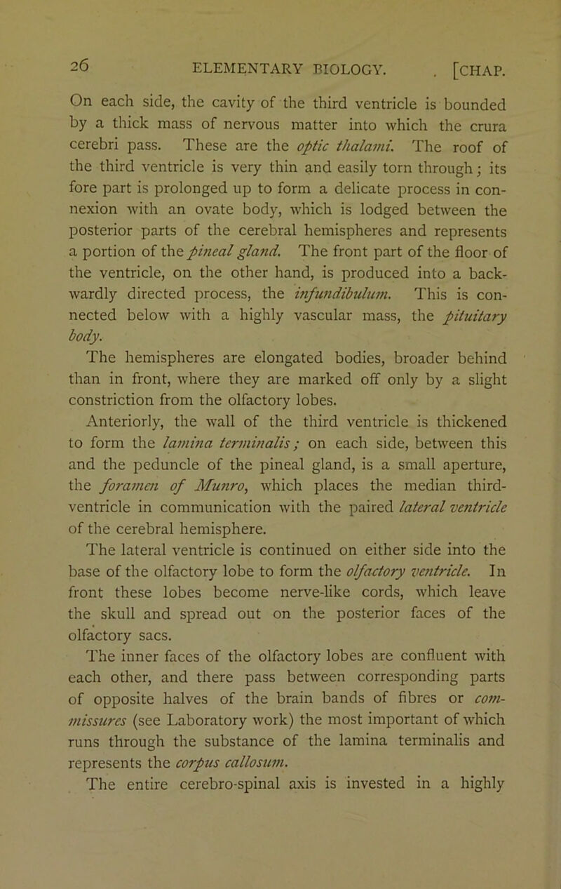 On each side, the cavity of the third ventricle is bounded by a thick mass of nervous matter into which the crura cerebri pass. These are the optic thalami. The roof of the third ventricle is very thin and easily torn through; its fore part is prolonged up to form a delicate process in con- nexion with an ovate body, which is lodged between the posterior parts of the cerebral hemispheres and represents a portion of the pineal gland. The front part of the floor of the ventricle, on the other hand, is produced into a back- wardly directed process, the infundibulum. This is con- nected below with a highly vascular mass, the pituitary body. The hemispheres are elongated bodies, broader behind than in front, where they are marked off only by a slight constriction from the olfactory lobes. Anteriorly, the wall of the third ventricle is thickened to form the lamina terminalis; on each side, between this and the peduncle of the pineal gland, is a small aperture, the foramen of Munro, which places the median third- ventricle in communication with the paired lateral ventricle of the cerebral hemisphere. The lateral ventricle is continued on either side into the base of the olfactory lobe to form the olfactory ventricle. In front these lobes become nerve-like cords, which leave the skull and spread out on the posterior faces of the olfactory sacs. The inner faces of the olfactory lobes are confluent with each other, and there pass between corresponding parts of opposite halves of the brain bands of fibres or com- missures (see Laboratory work) the most important of which runs through the substance of the lamina terminalis and represents the corpus callosum. The entire cerebro-spinal axis is invested in a highly
