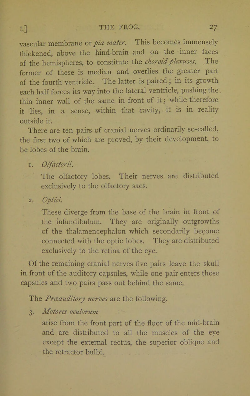 vascular membrane or pia mater. This becomes immensely thickened, above the hind-brain and on the inner faces of the hemispheres, to constitute the choroid plexuses. The former of these is median and overlies the greater part of the fourth ventricle. The latter is paired; in its growth each half forces its way into the lateral ventricle, pushing the thin inner wall of the same in front of it j while therefore it lies, in a sense, within that cavity, it is in reality outside it. There are ten pairs of cranial nerves ordinarily so-called, the first two of which are proved, by their development, to be lobes of the brain. 1. OIf actor ii. The olfactory lobes. Their nerves are distributed exclusively to the olfactory sacs. 2. Optici. These diverge from the base of the brain in front of tire infundibulum. They are originally outgrowths of the thalamencephalon which secondarily become connected with the optic lobes. They are distributed exclusively to the retina of the eye. Of the remaining cranial nerves five pairs leave the skull in front of the auditory capsules, while one pair enters those capsules and two pairs pass out behind the same. The Prceauditory nerves are the following. 3. Motores oculorum arise from the front part of the floor of the mid-brain and are distributed to all the muscles of the eye except the external rectus, the superior oblique and the retractor bulbi.