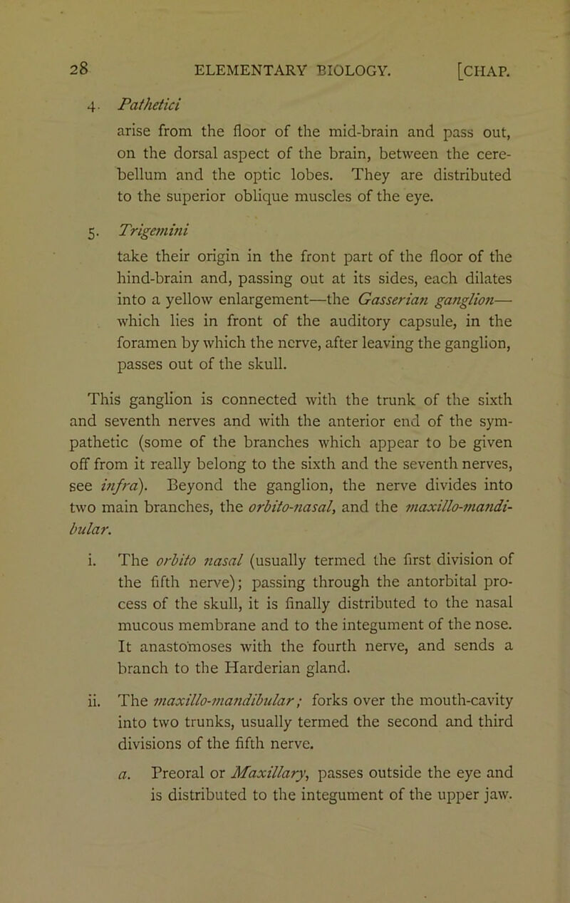 4. Pathetici arise from the floor of the mid-brain and pass out, on the dorsal aspect of the brain, between the cere- bellum and the optic lobes. They are distributed to the superior oblique muscles of the eye. 5. Trigemini take their origin in the front part of the floor of the hind-brain and, passing out at its sides, each dilates into a yellow enlargement—the Gasserian ganglioti— which lies in front of the auditory capsule, in the foramen by which the nerve, after leaving the ganglion, passes out of the skull. This ganglion is connected with the trunk of the sixth and seventh nerves and with the anterior end of the sym- pathetic (some of the branches which appear to be given off from it really belong to the sixth and the seventh nerves, see infra). Beyond the ganglion, the nerve divides into two main branches, the orbito-nasal, and the maxillomiandi- bular. i. The orbito nasal (usually termed the first division of the fifth nerve); passing through the antorbital pro- cess of the skull, it is finally distributed to the nasal mucous membrane and to the integument of the nose. It anastomoses with the fourth nerve, and sends a branch to the Harderian gland. ii. The maxillo-mandibular; forks over the mouth-cavity into two trunks, usually termed the second and third divisions of the fifth nerve. a. Preoral or Maxillary, passes outside the eye and is distributed to the integument of the upper jaw.