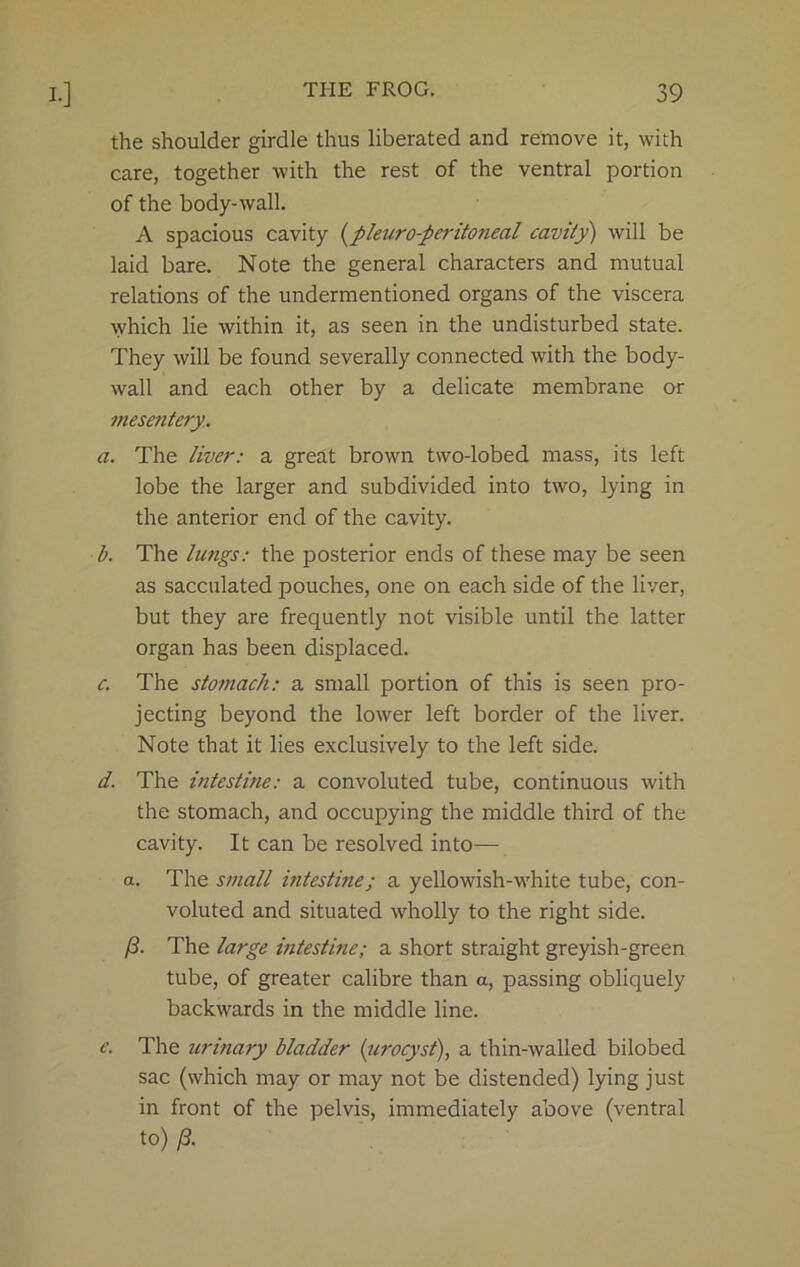 the shoulder girdle thus liberated and remove it, with care, together with the rest of the ventral portion of the body-wall. A spacious cavity (pleuro-peritoneal cavity) will be laid bare. Note the general characters and mutual relations of the undermentioned organs of the viscera which lie within it, as seen in the undisturbed state. They will be found severally connected with the body- wall and each other by a delicate membrane or mesentery. a. The liver: a great brown two-lobed mass, its left lobe the larger and subdivided into two, lying in the anterior end of the cavity. b. The lungs: the posterior ends of these may be seen as sacculated pouches, one on each side of the liver, but they are frequently not visible until the latter organ has been displaced. c. The stomach: a small portion of this is seen pro- jecting beyond the lower left border of the liver. Note that it lies exclusively to the left side. d. The intestine: a convoluted tube, continuous with the stomach, and occupying the middle third of the cavity. It can be resolved into— a. The small intestine; a yellowish-white tube, con- voluted and situated wholly to the right side. /3. The large intestine; a short straight greyish-green tube, of greater calibre than a, passing obliquely backwards in the middle line. e. The urinary bladder (urocyst), a thin-walled bilobed sac (which may or may not be distended) lying just in front of the pelvis, immediately above (ventral to) /3.