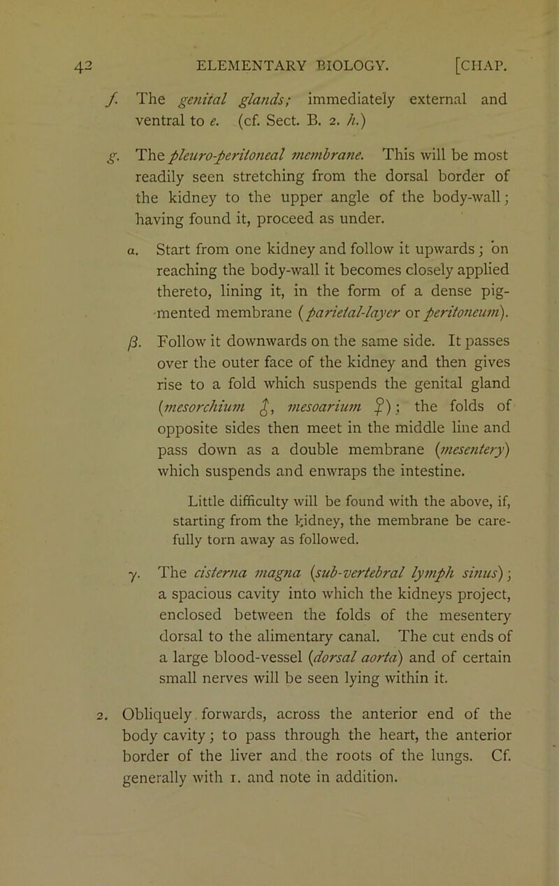 f. The geniial glands; immediately external and ventral to e. (cf. Sect. B. 2. h.) g. The pleuro-peril07ieal membrane. This will be most readily seen stretching from the dorsal border of the kidney to the upper angle of the body-wall; having found it, proceed as under. a. Start from one kidney and follow it upwards ; on reaching the body-wall it becomes closely applied thereto, lining it, in the form of a dense pig- mented membrane (parietal-laycr or peritoneum). /3. Follow it downwards on the same side. It passes over the outer face of the kidney and then gives rise to a fold which suspends the genital gland (mesorchium mesoariinn f); the folds of opposite sides then meet in the middle line and pass down as a double membrane (mesentery) which suspends and enwraps the intestine. Little difficulty will be found with the above, if, starting from the kidney, the membrane be care- fully torn away as followed. y. The cisterna magna (sub-vertebral lymph sinus); a spacious cavity into which the kidneys project, enclosed between the folds of the mesentery dorsal to the alimentary canal. The cut ends of a large blood-vessel (dorsal aorta) and of certain small nerves will be seen lying within it. 2. Obliquely forwards, across the anterior end of the body cavity; to pass through the heart, the anterior border of the liver and the roots of the lungs. Cf. generally with 1. and note in addition.