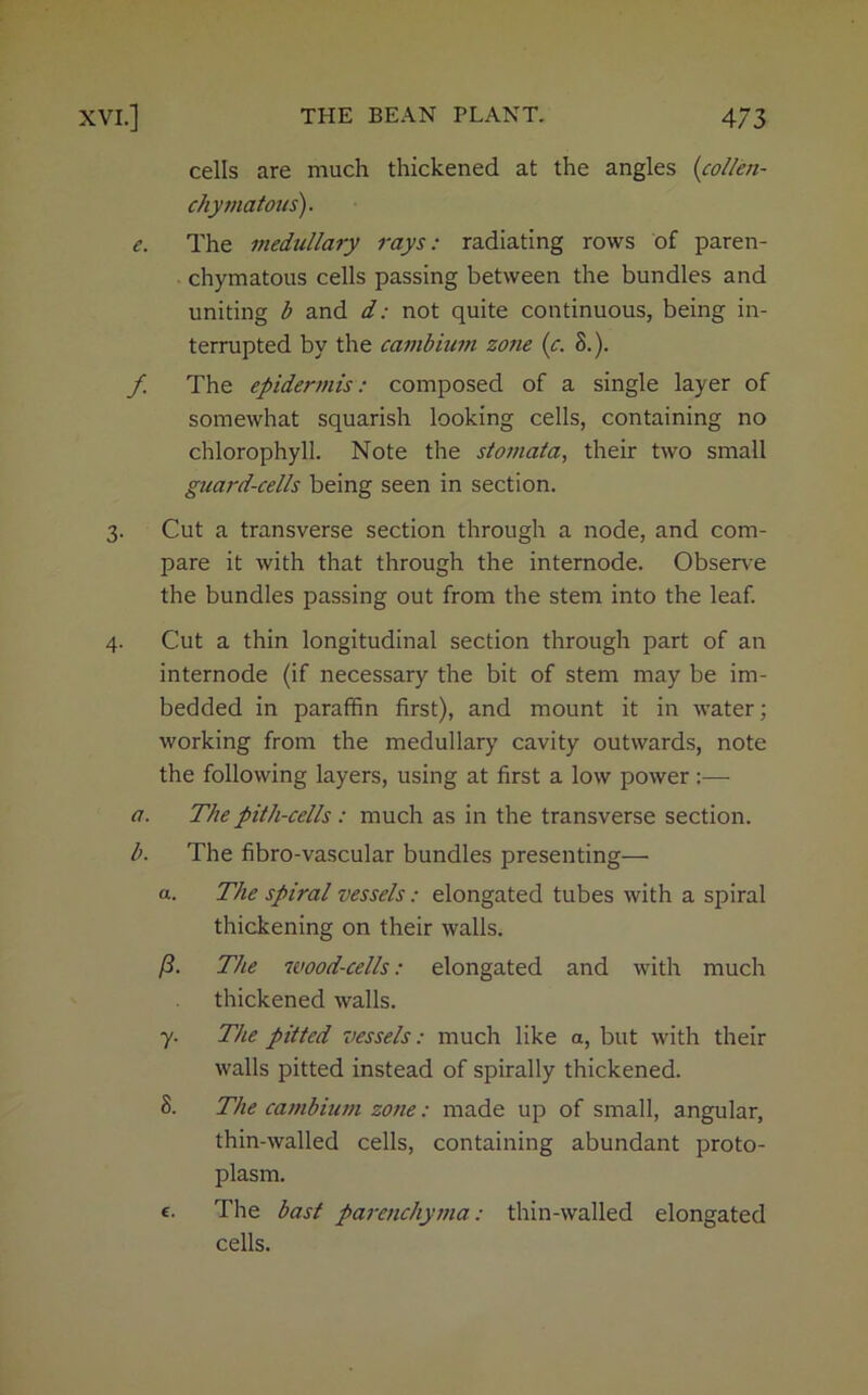 cells are much thickened at the angles (collen- chymatous). e. The medullary rays: radiating rows of paren- chymatous cells passing between the bundles and uniting b and d: not quite continuous, being in- terrupted by the cambium zone (c. 8.). f The epidermis: composed of a single layer of somewhat squarish looking cells, containing no chlorophyll. Note the stomata, their two small guard-cells being seen in section. 3. Cut a transverse section through a node, and com- pare it with that through the internode. Observe the bundles passing out from the stem into the leaf. 4. Cut a thin longitudinal section through part of an internode (if necessary the bit of stem may be im- bedded in paraffin first), and mount it in water; working from the medullary cavity outwards, note the following layers, using at first a low power:— a. The pith-cells : much as in the transverse section. b. The fibro-vascular bundles presenting— a. The spiral vessels: elongated tubes with a spiral thickening on their walls. P- The wood-cells: elongated and with much thickened walls. y. The pitted vessels: much like a, but with their walls pitted instead of spirally thickened. 8. The cambium zone: made up of small, angular, thin-walled cells, containing abundant proto- plasm. e. The bast parenchyma: thin-walled elongated cells.