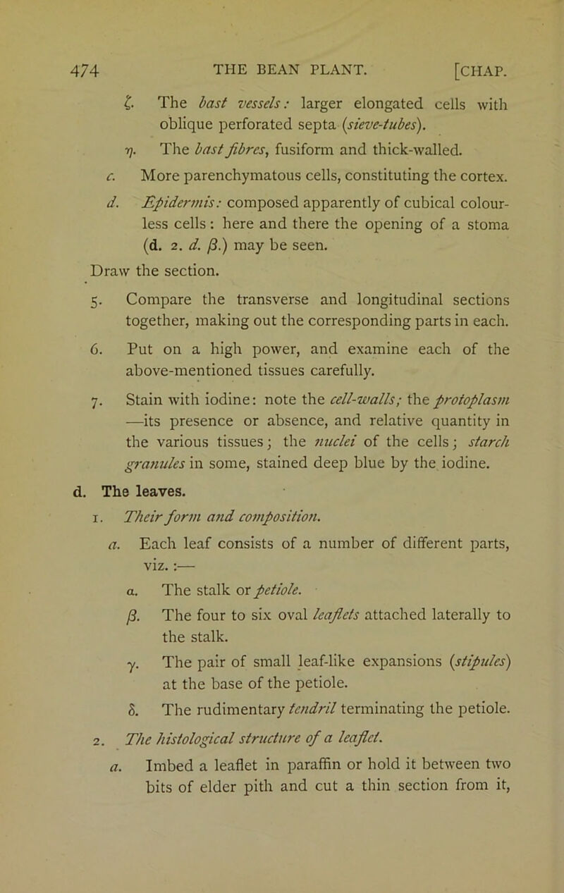 £ The bast vessels: larger elongated cells with oblique perforated septa (sieve-tubes). rj. The bast fibres, fusiform and thick-walled. c. More parenchymatous cells, constituting the cortex. d. Epidermis: composed apparently of cubical colour- less cells: here and there the opening of a stoma (d. 2. d. /?.) may be seen. Draw the section. 5. Compare the transverse and longitudinal sections together, making out the corresponding parts in each. 6. Put on a high power, and examine each of the above-mentioned tissues carefully. 7. Stain with iodine: note the cell-walls; the protoplasm —its presence or absence, and relative quantity in the various tissues; the nuclei of the cells; starch granules in some, stained deep blue by the iodine. d. The leaves. 1. Their form and composition. a. Each leaf consists of a number of different parts, viz.:— a. The stalk or petiole. (3. The four to six oval leaflets attached laterally to the stalk. y. The pair of small leaf-like expansions (stipules) at the base of the petiole. S. The rudimentary tendril terminating the petiole. 2. The histological structure of a leaflet. a. Imbed a leaflet in paraffin or hold it between two bits of elder pith and cut a thin section from it,